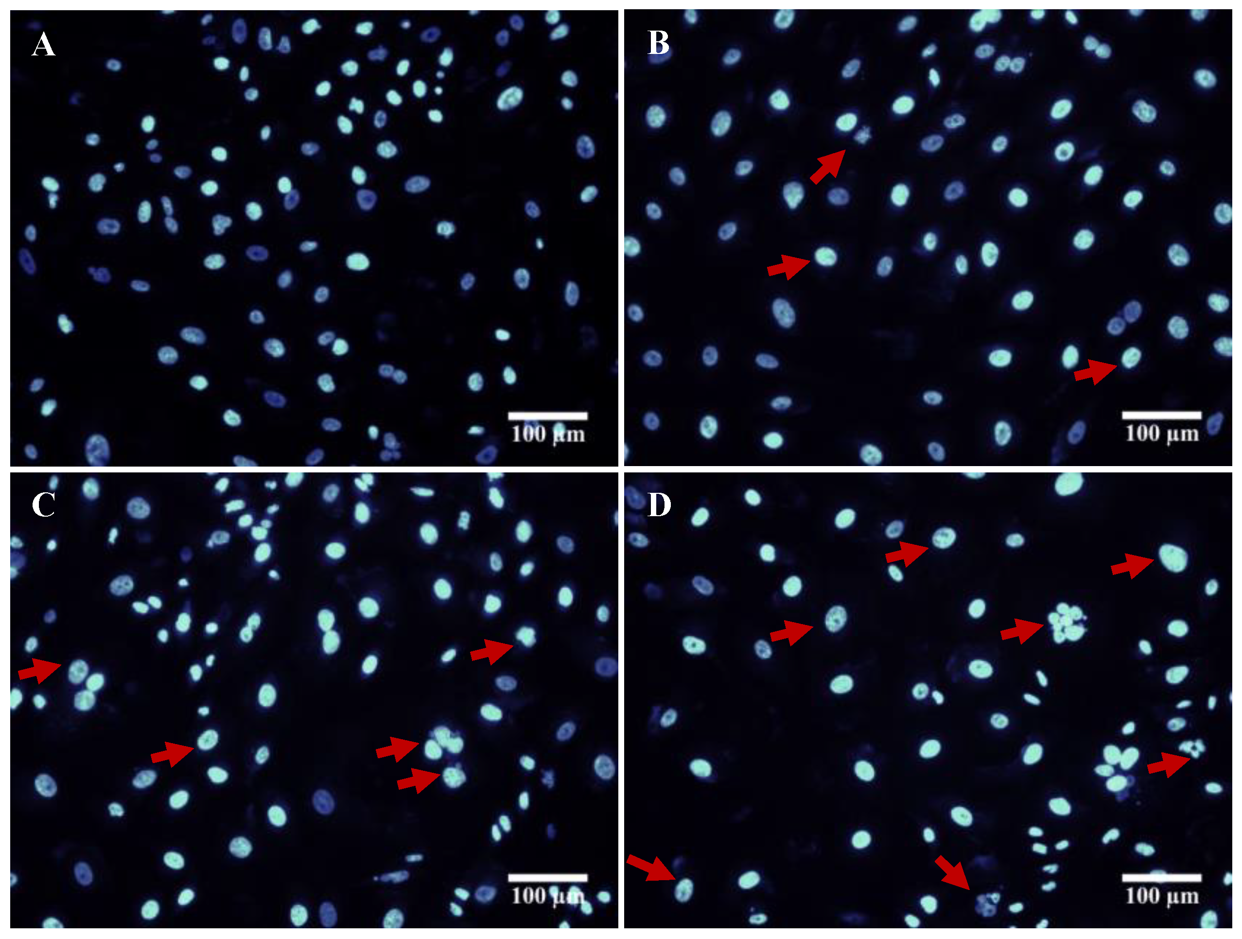 Biomolecules 10 01679 g007 Biomolecules 10 01679 g007