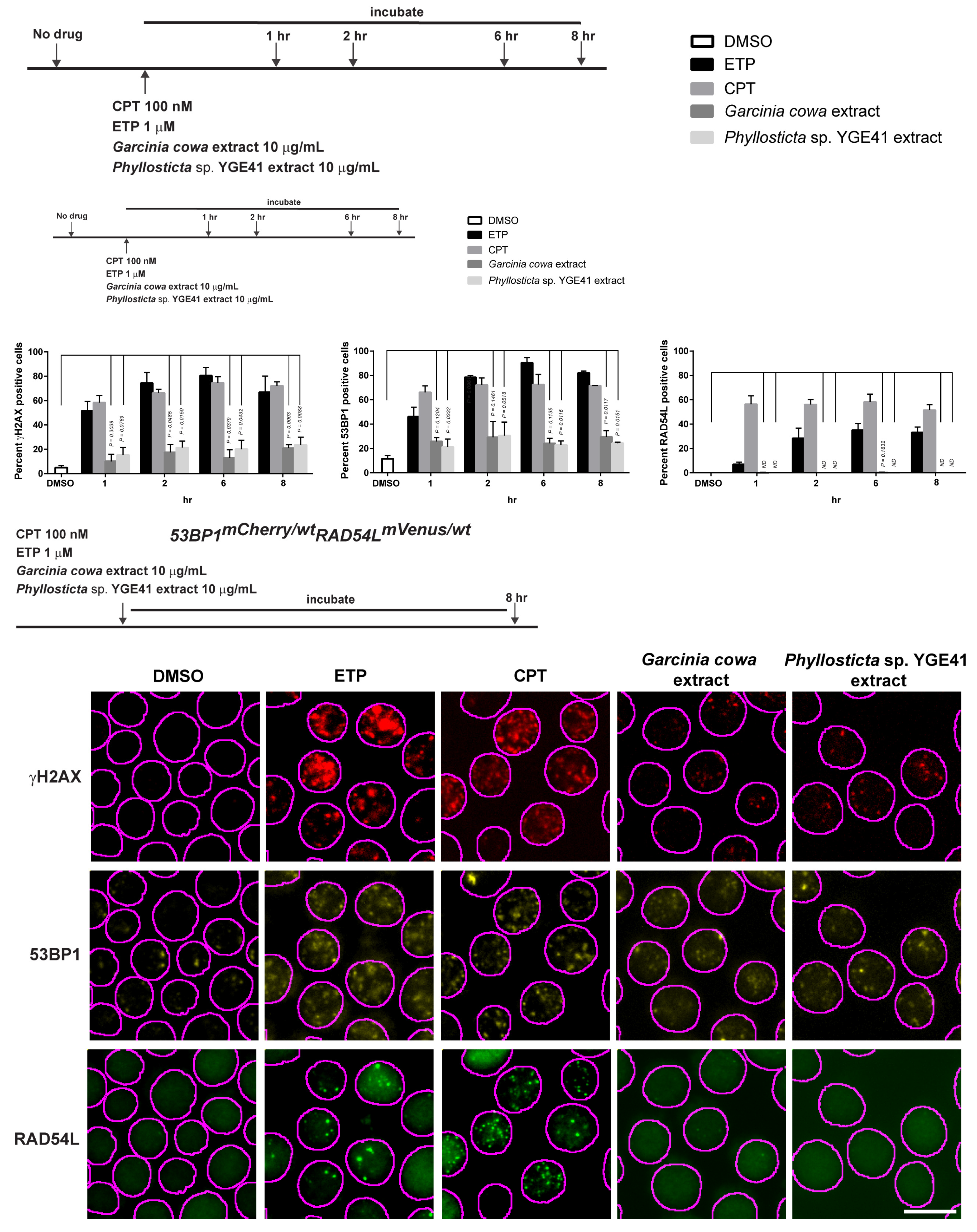 Biomolecules 10 01680 g008 Biomolecules 10 01680 g008