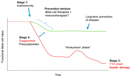 type 1 diabetes remission phase