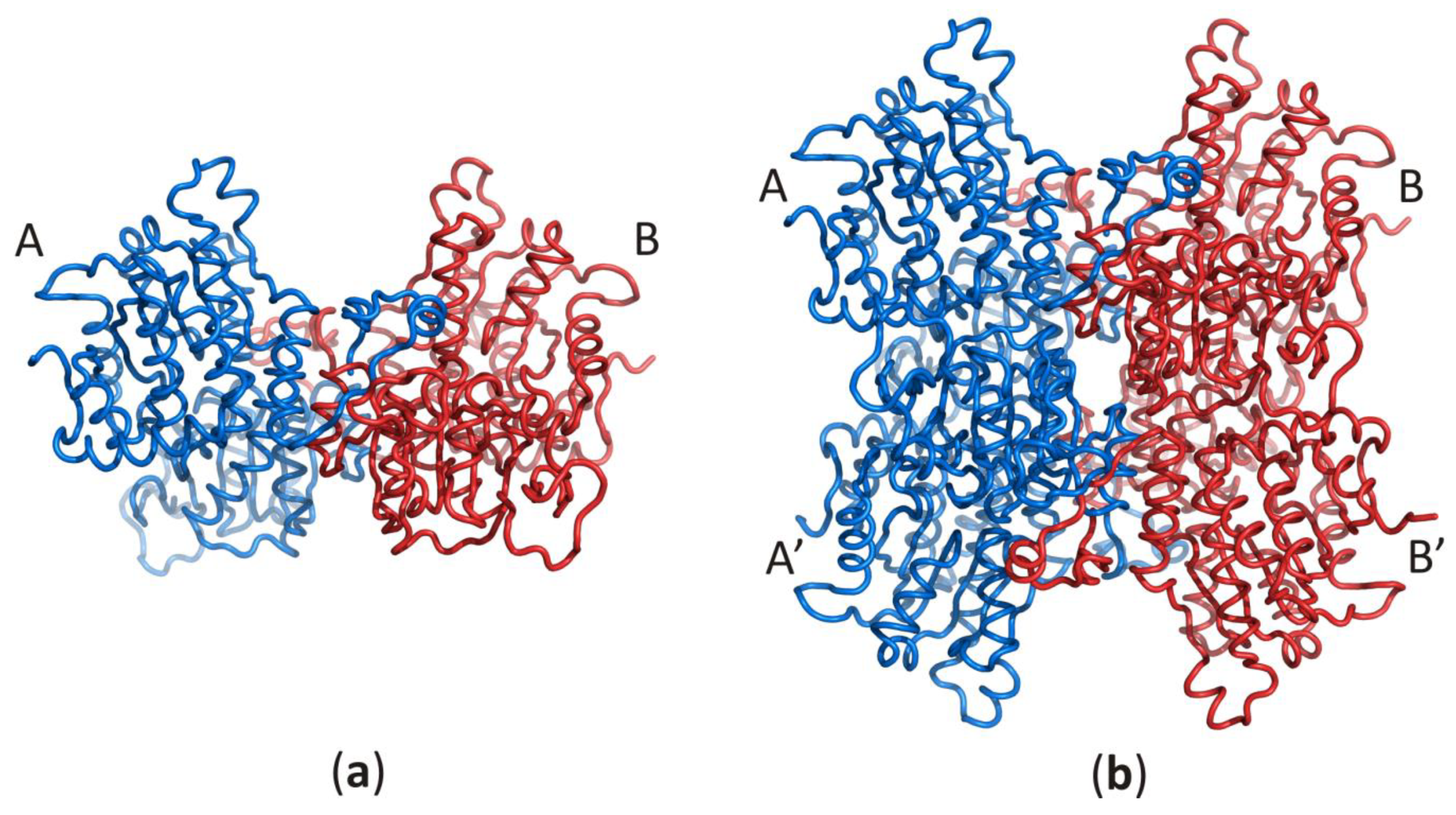 Biomolecules 10 01682 g001 Biomolecules 10 01682 g001