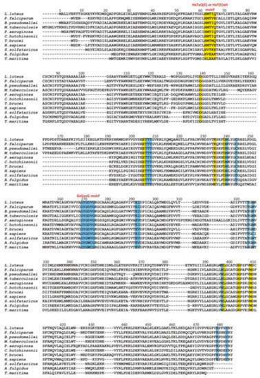 Biomolecules 10 01682 g003 550