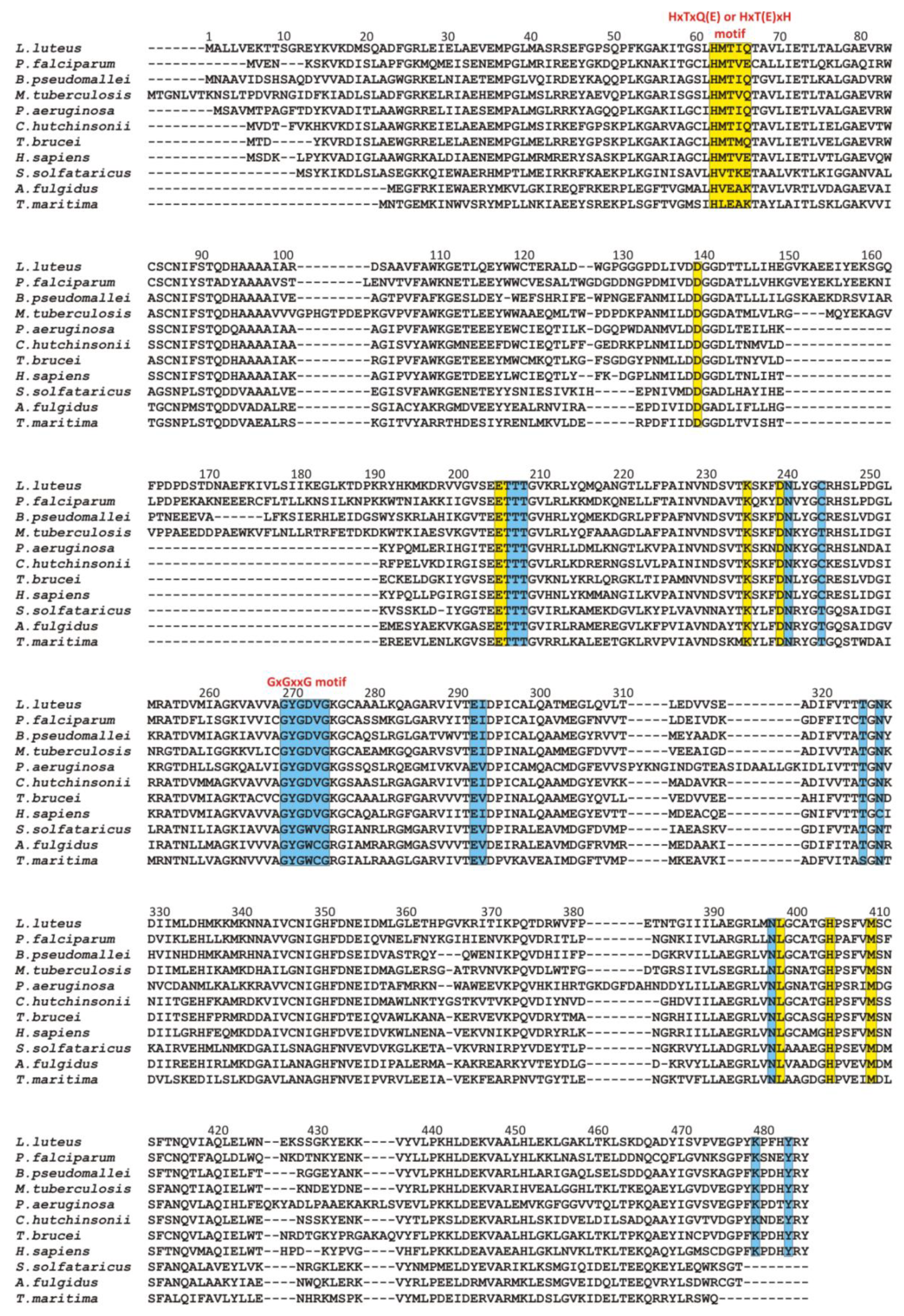 Biomolecules Free Full Text S Adenosyl L Homocysteine Hydrolase A Structural Perspective On The Enzyme With Two Rossmann Fold Domains