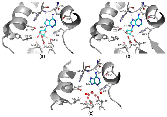 Biomolecules 10 01682 g005 550