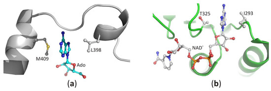 Biomolecules 10 01682 g006 550