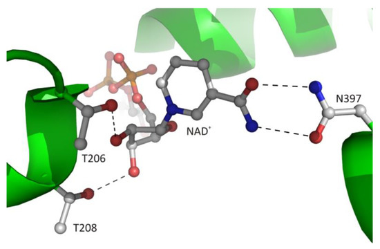 Biomolecules 10 01682 g007 550