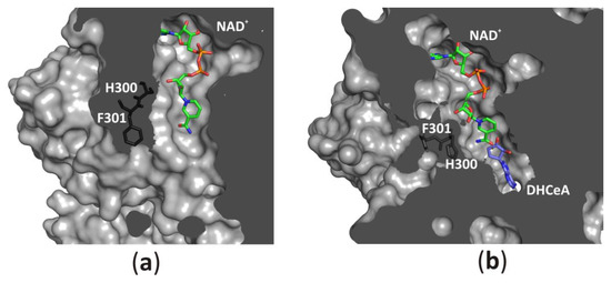 Biomolecules 10 01682 g008 550