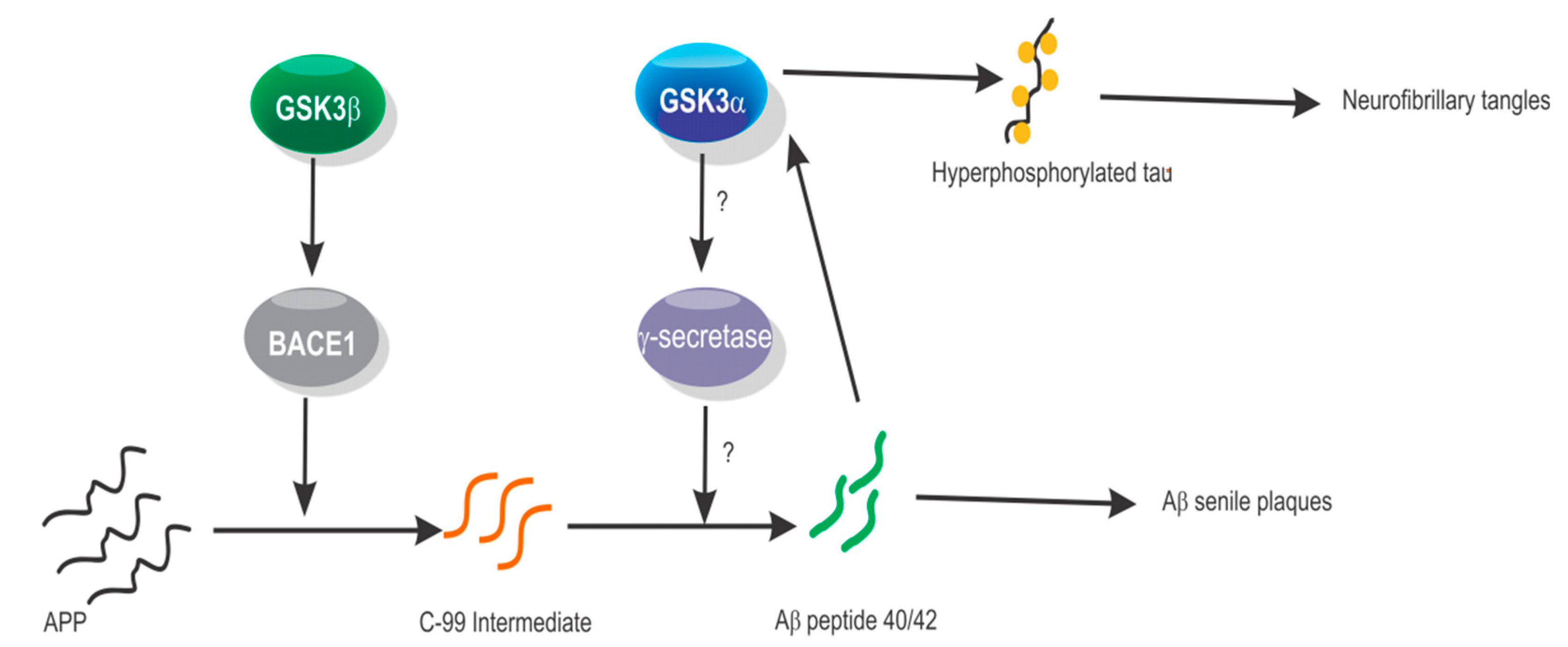 Biomolecules 10 01683 g001