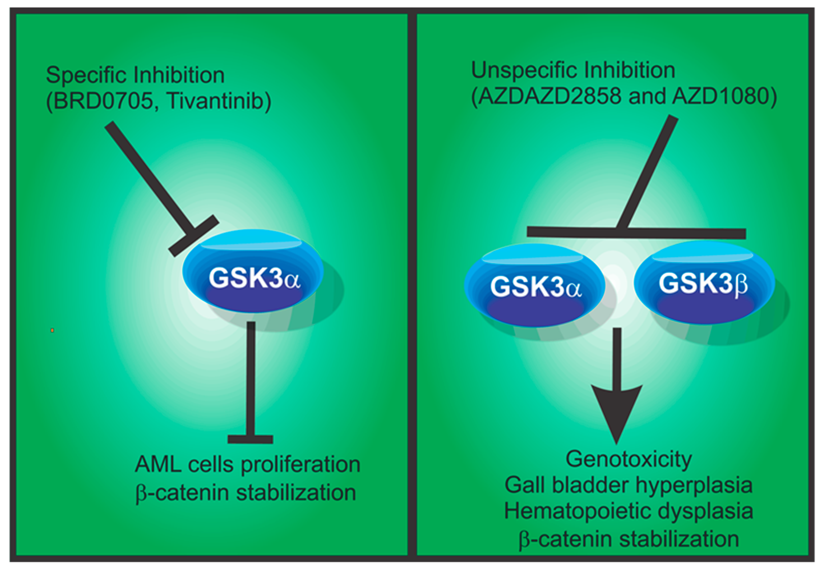 Biomolecules 10 01683 g002