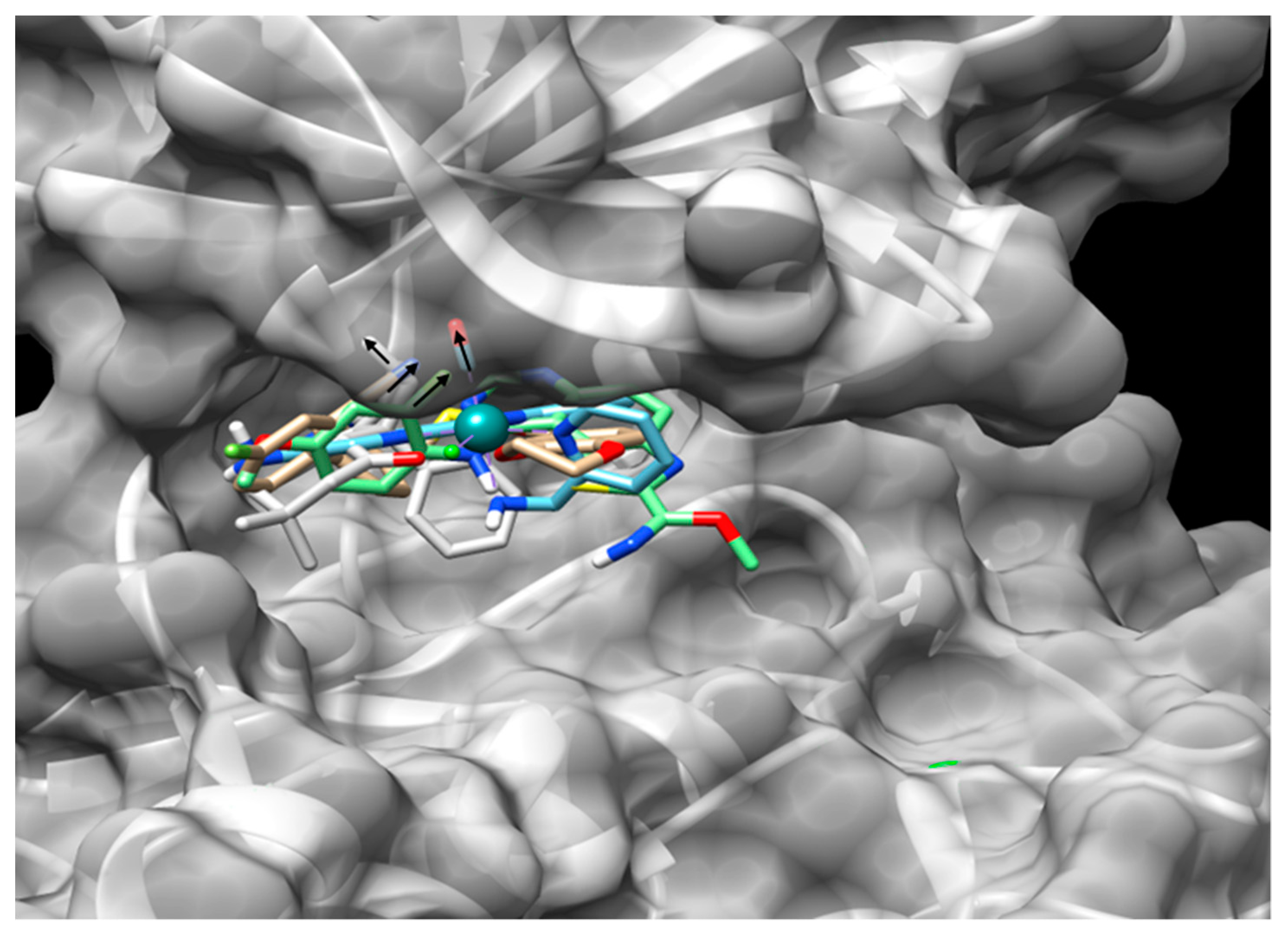 Biomolecules 10 01683 g003