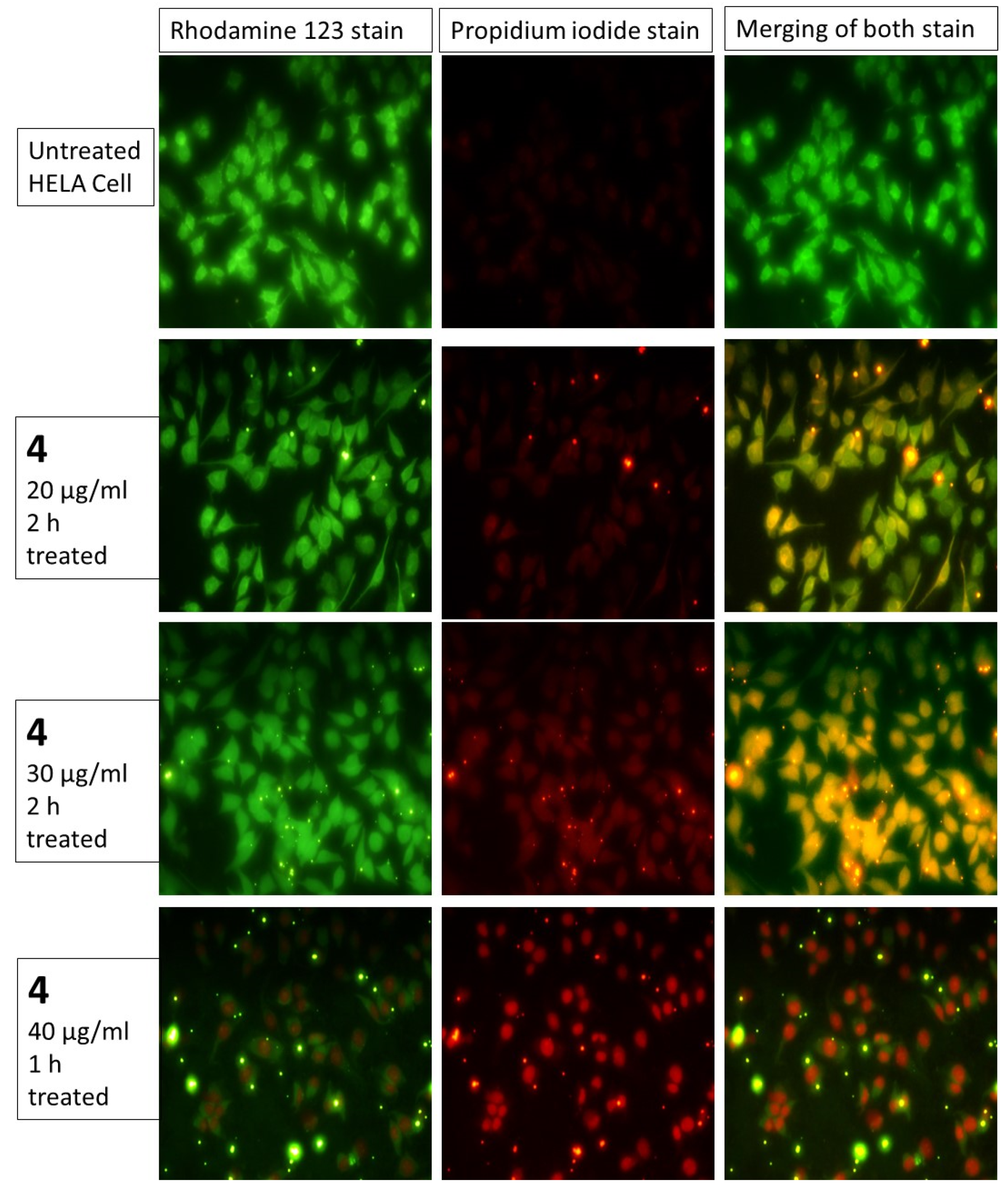 Biomolecules 10 01684 g003 Biomolecules 10 01684 g003