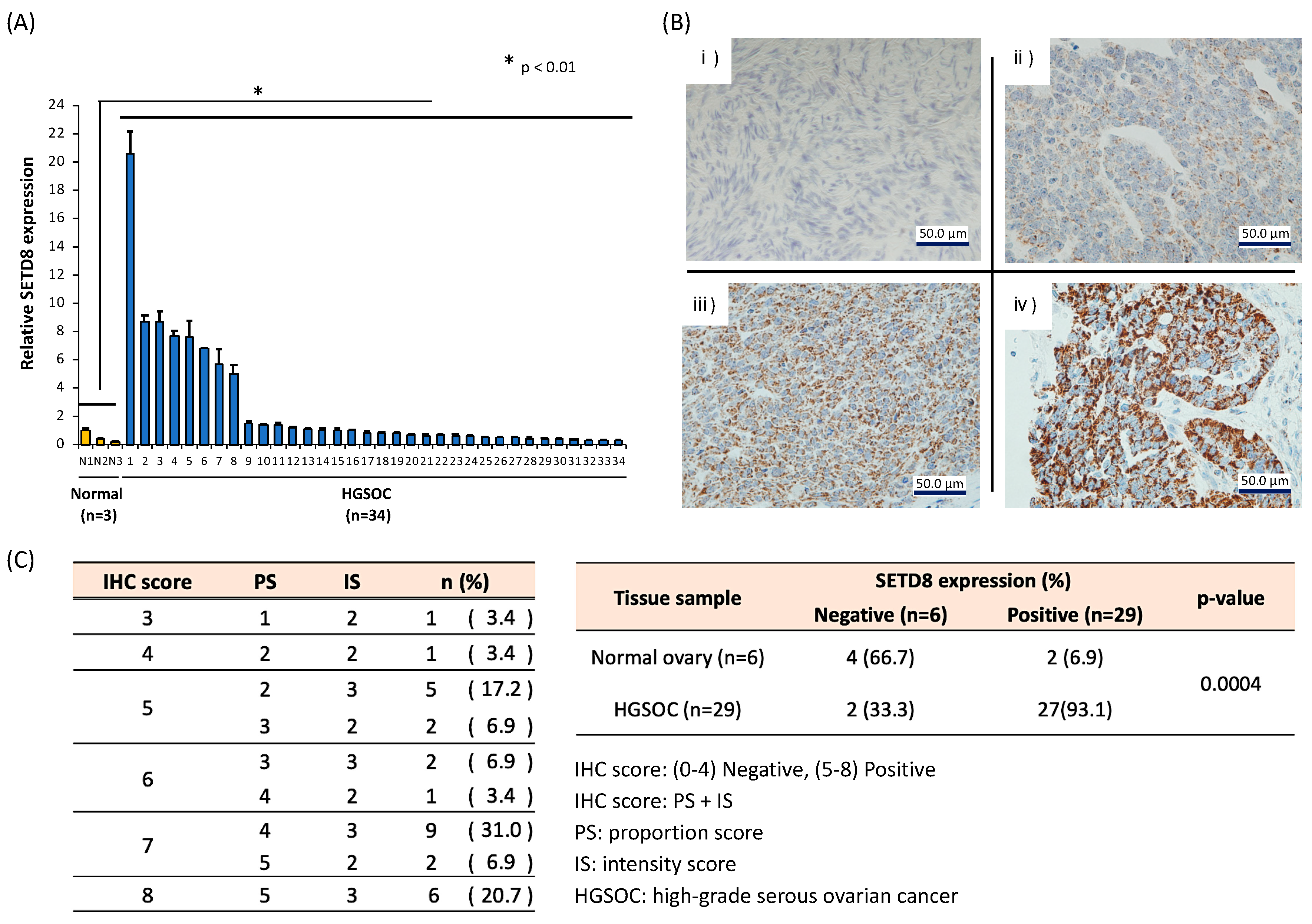 Biomolecules 10 01686 g001 Biomolecules 10 01686 g001