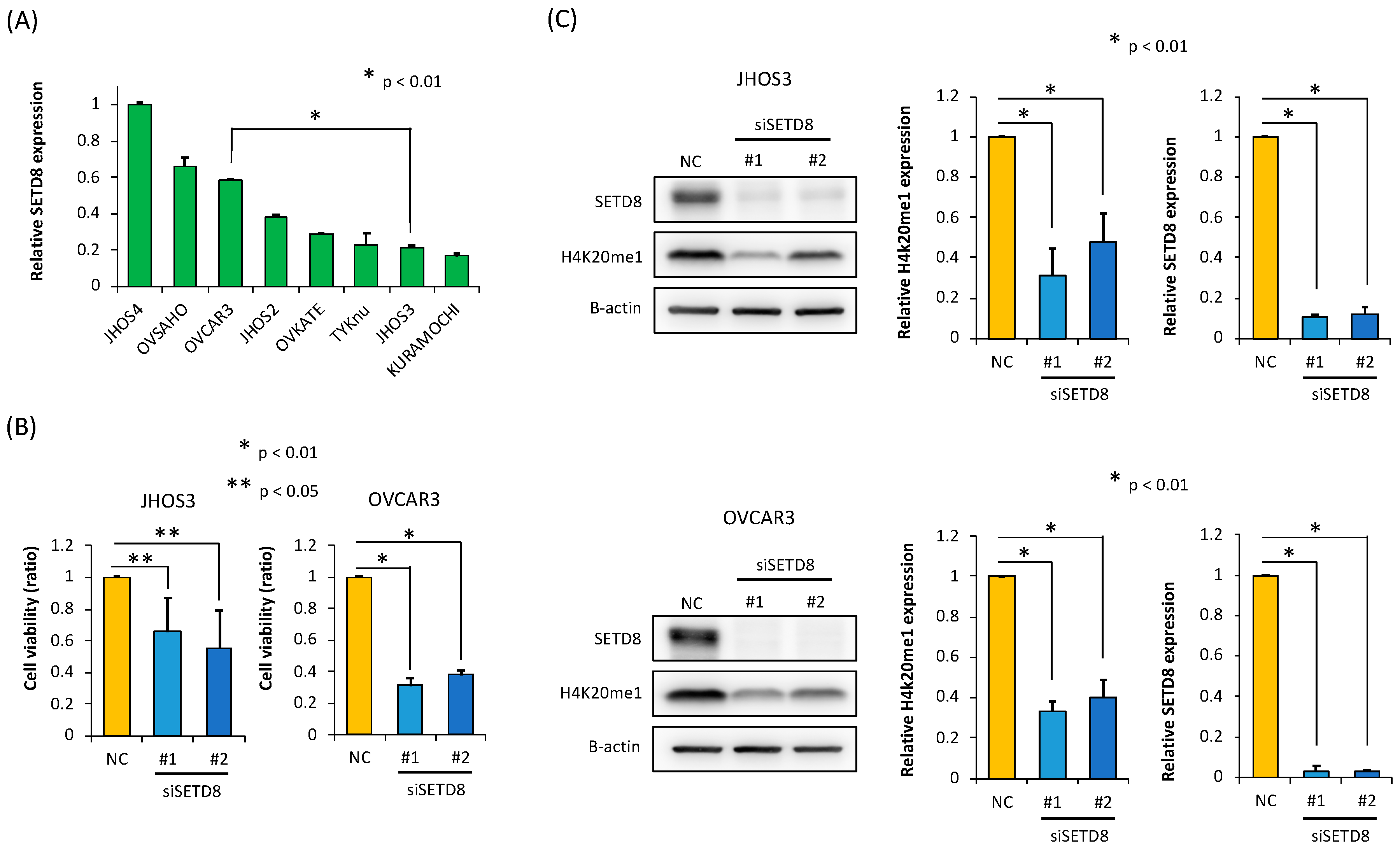 Biomolecules 10 01686 g002 Biomolecules 10 01686 g002