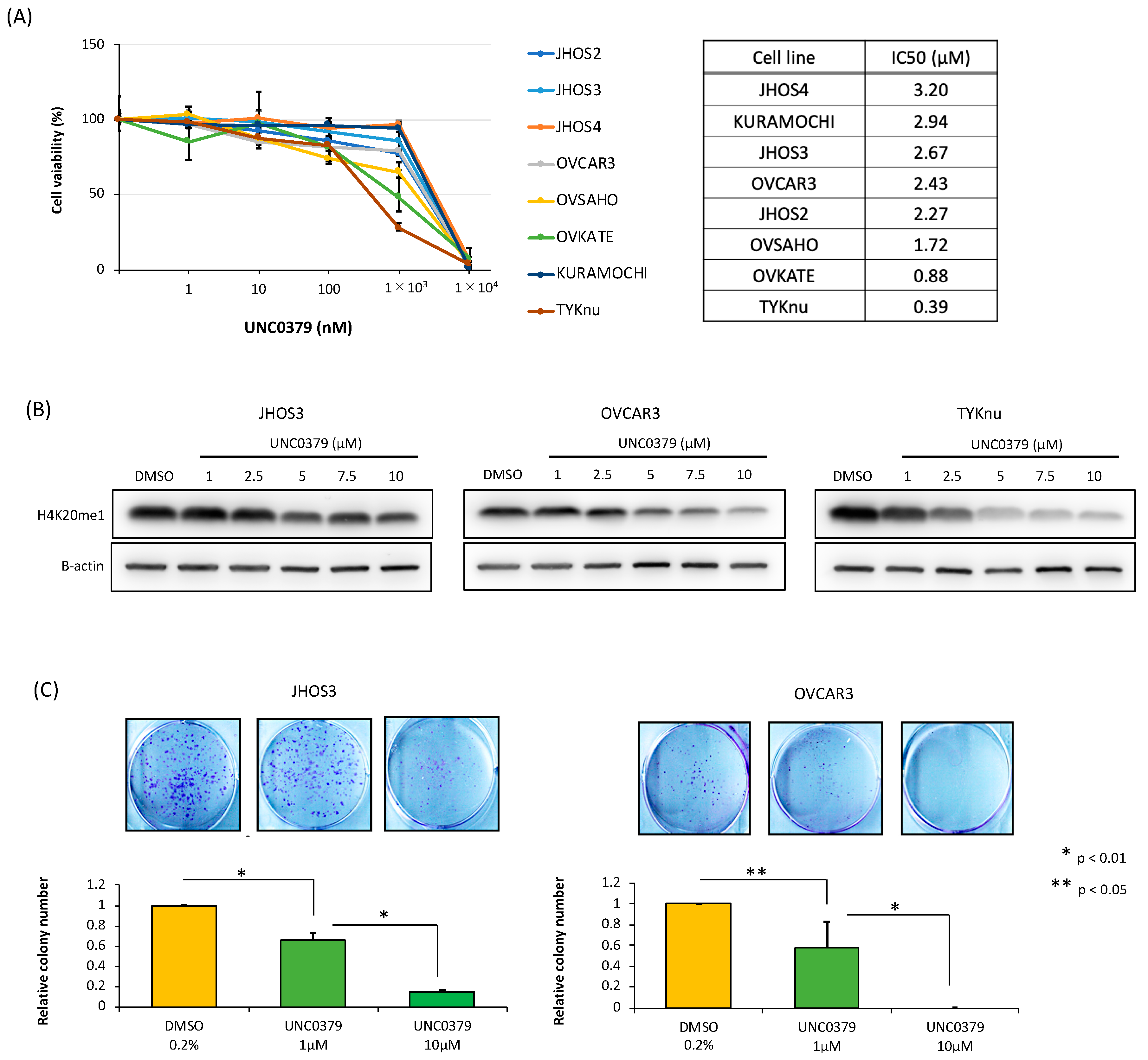 Biomolecules 10 01686 g004a Biomolecules 10 01686 g004a