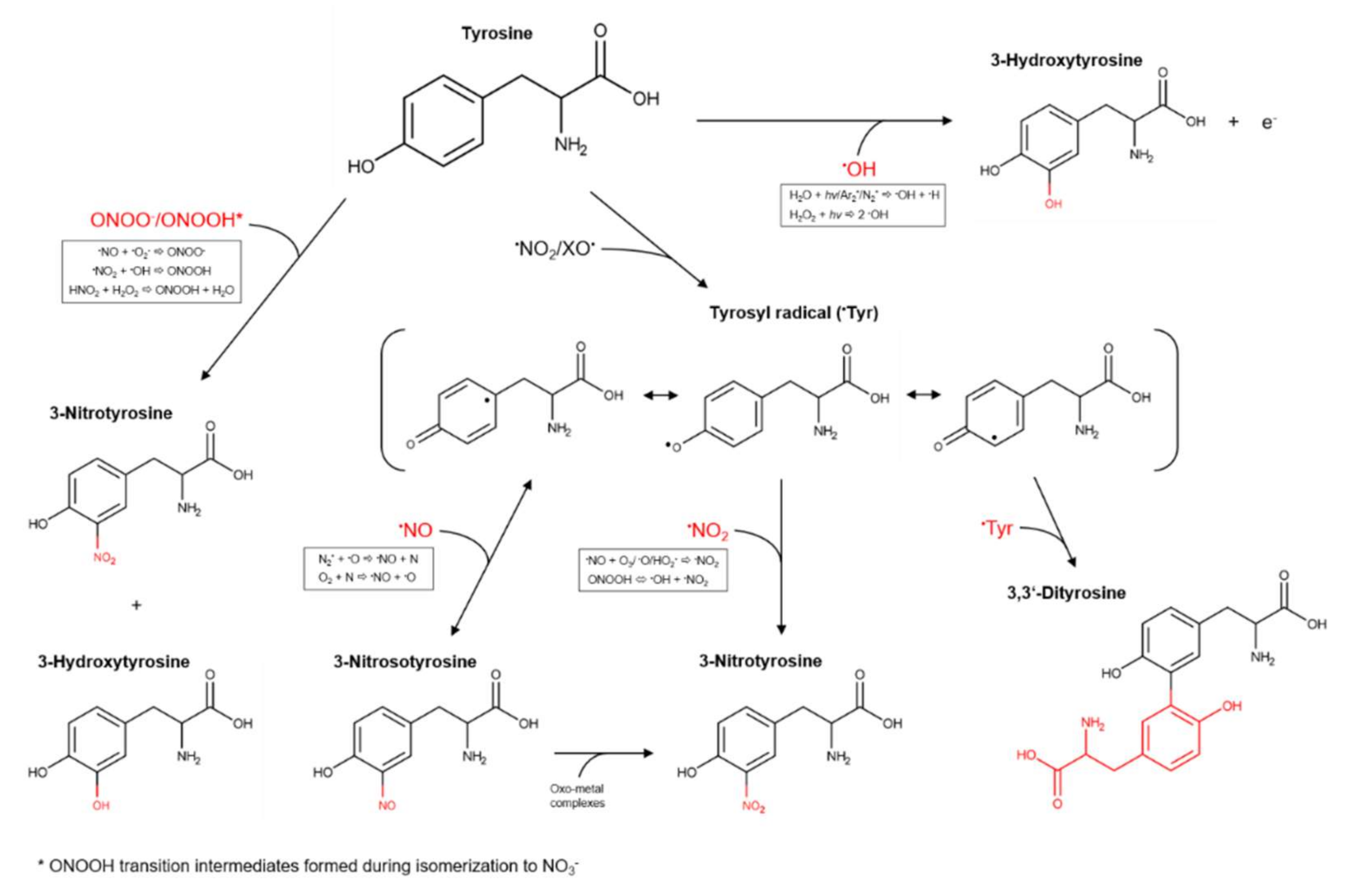 Biomolecules 10 01687 g003 Biomolecules 10 01687 g003