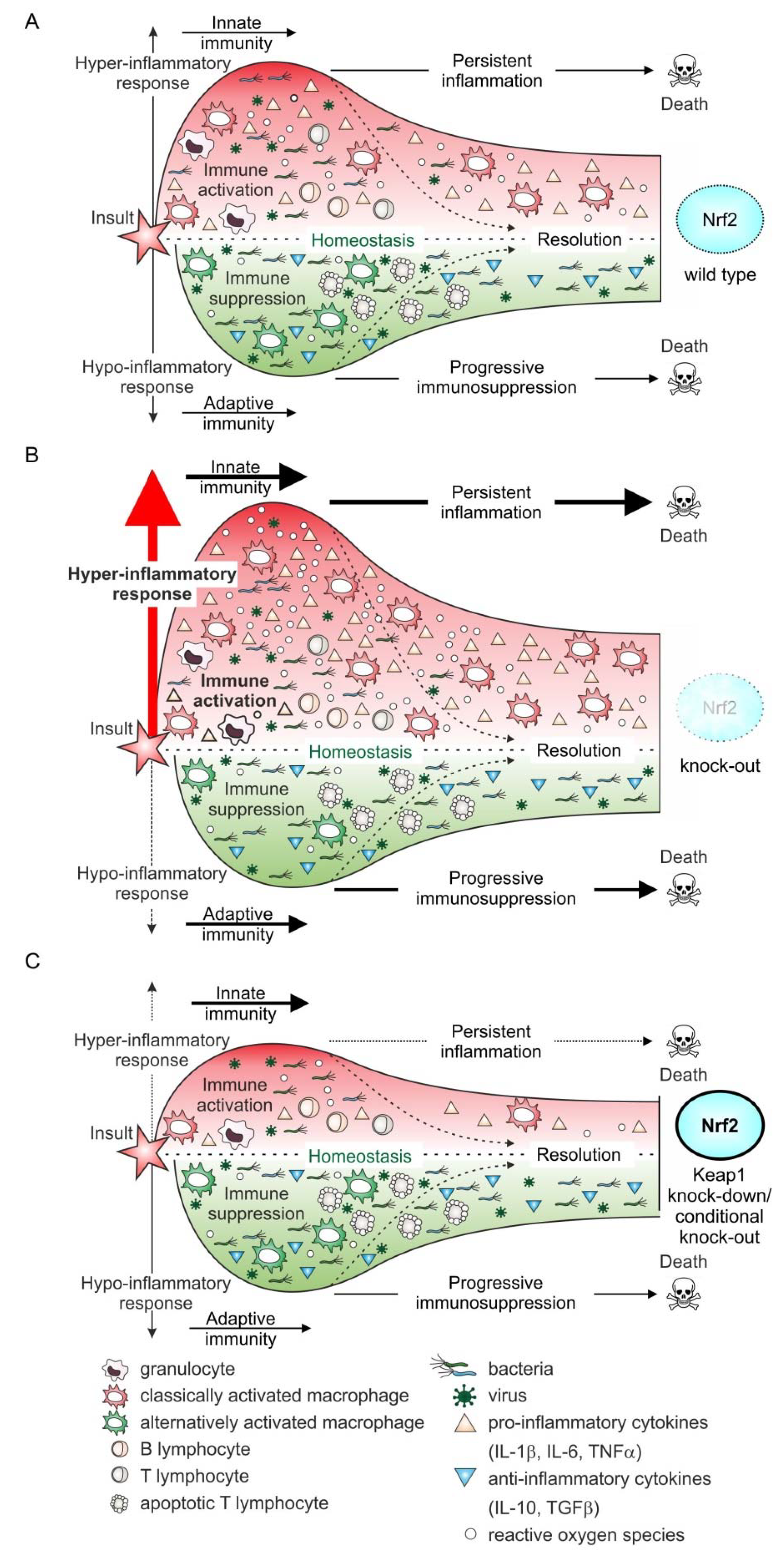 Biomolecules 10 01688 g004
