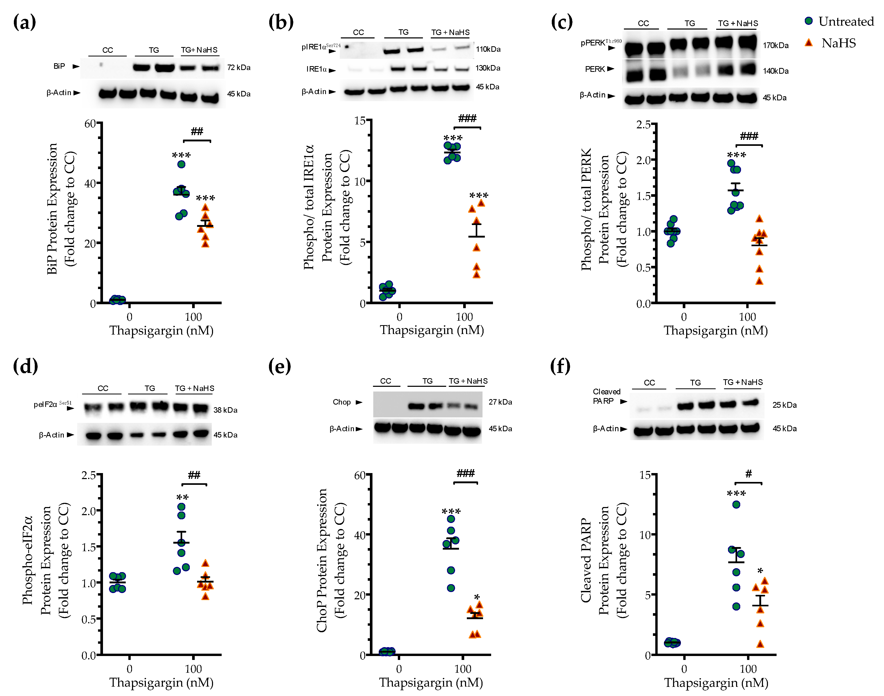Biomolecules 10 01692 g003 Biomolecules 10 01692 g003