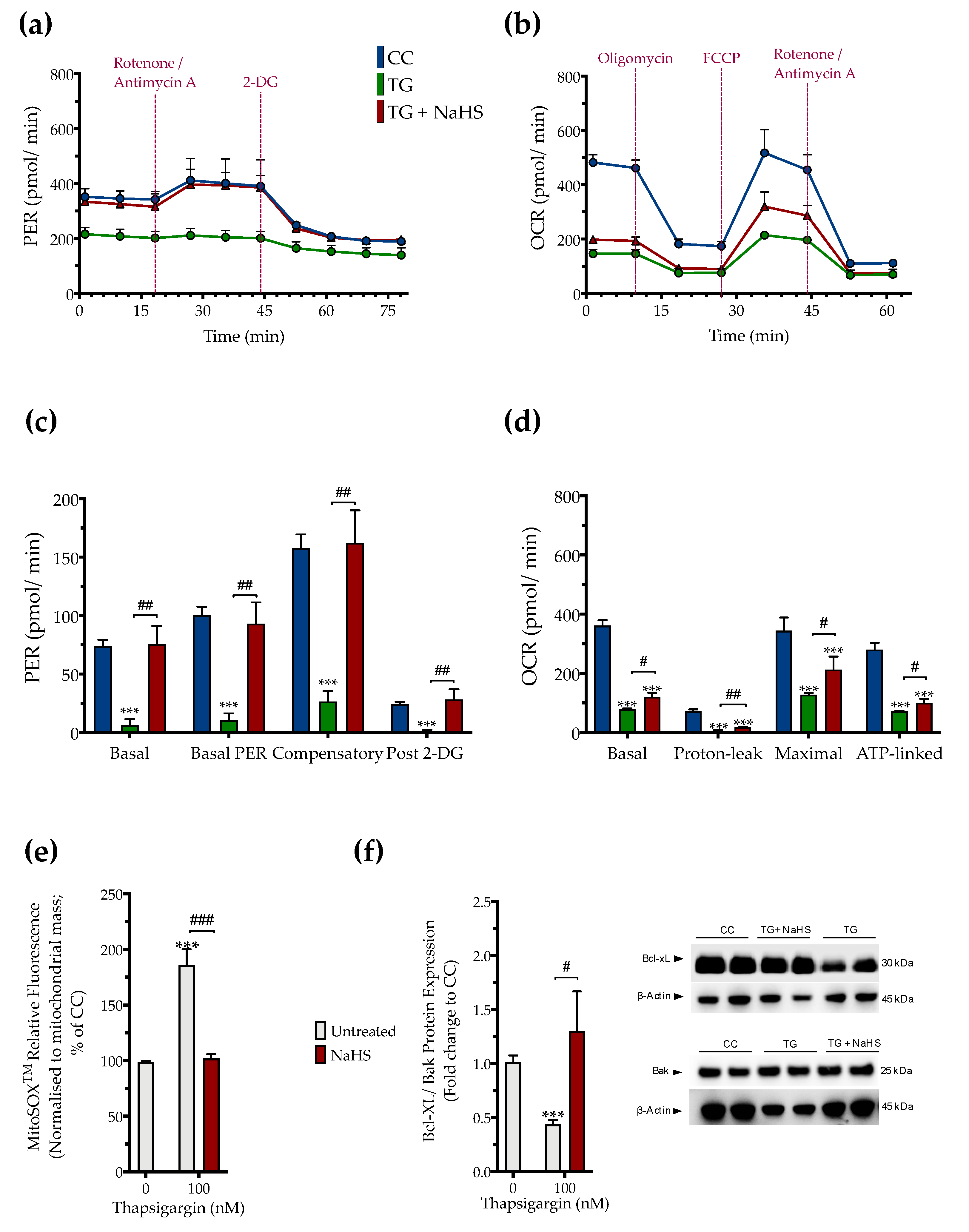 Biomolecules 10 01692 g006 Biomolecules 10 01692 g006