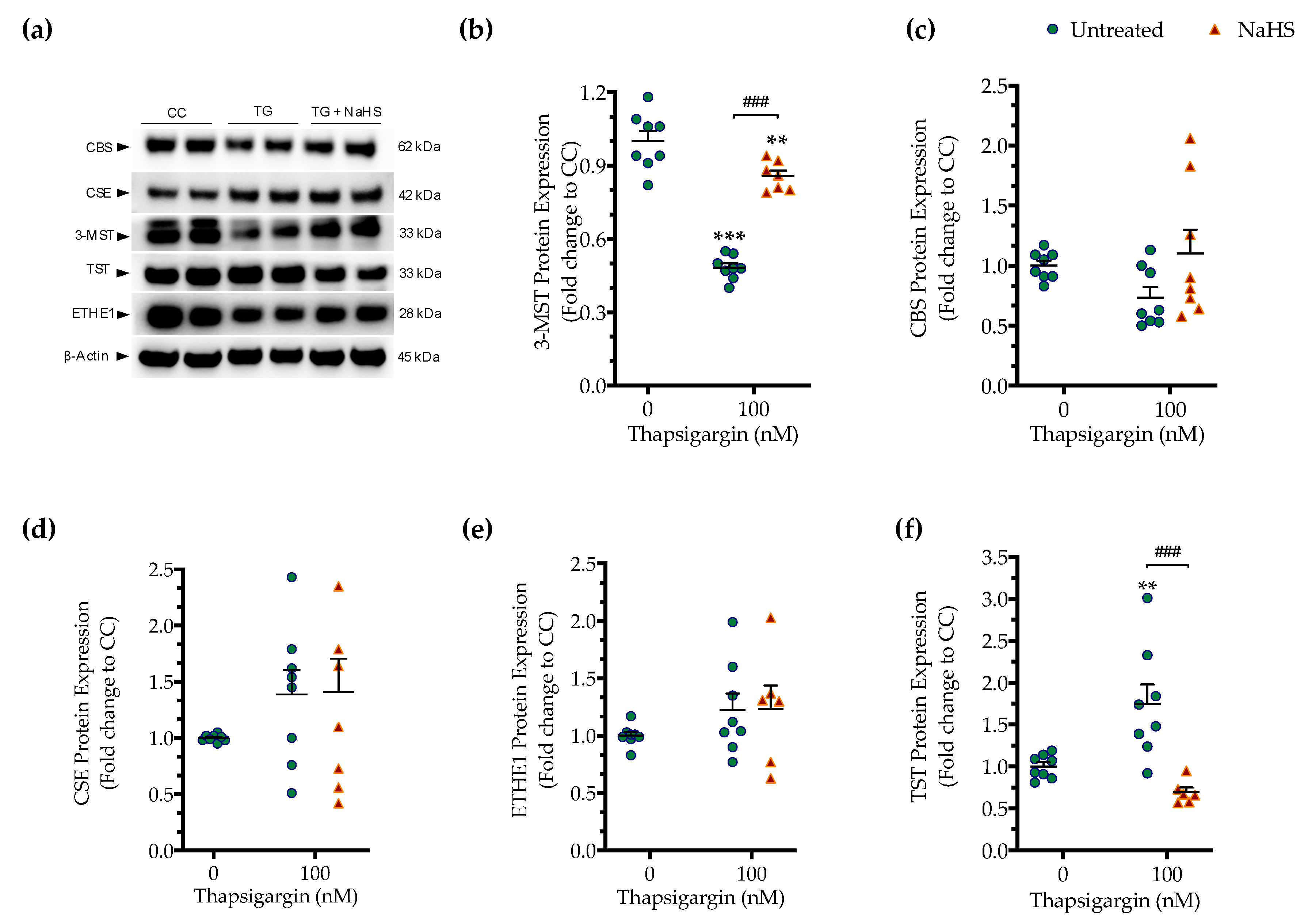 Biomolecules 10 01692 g007 Biomolecules 10 01692 g007