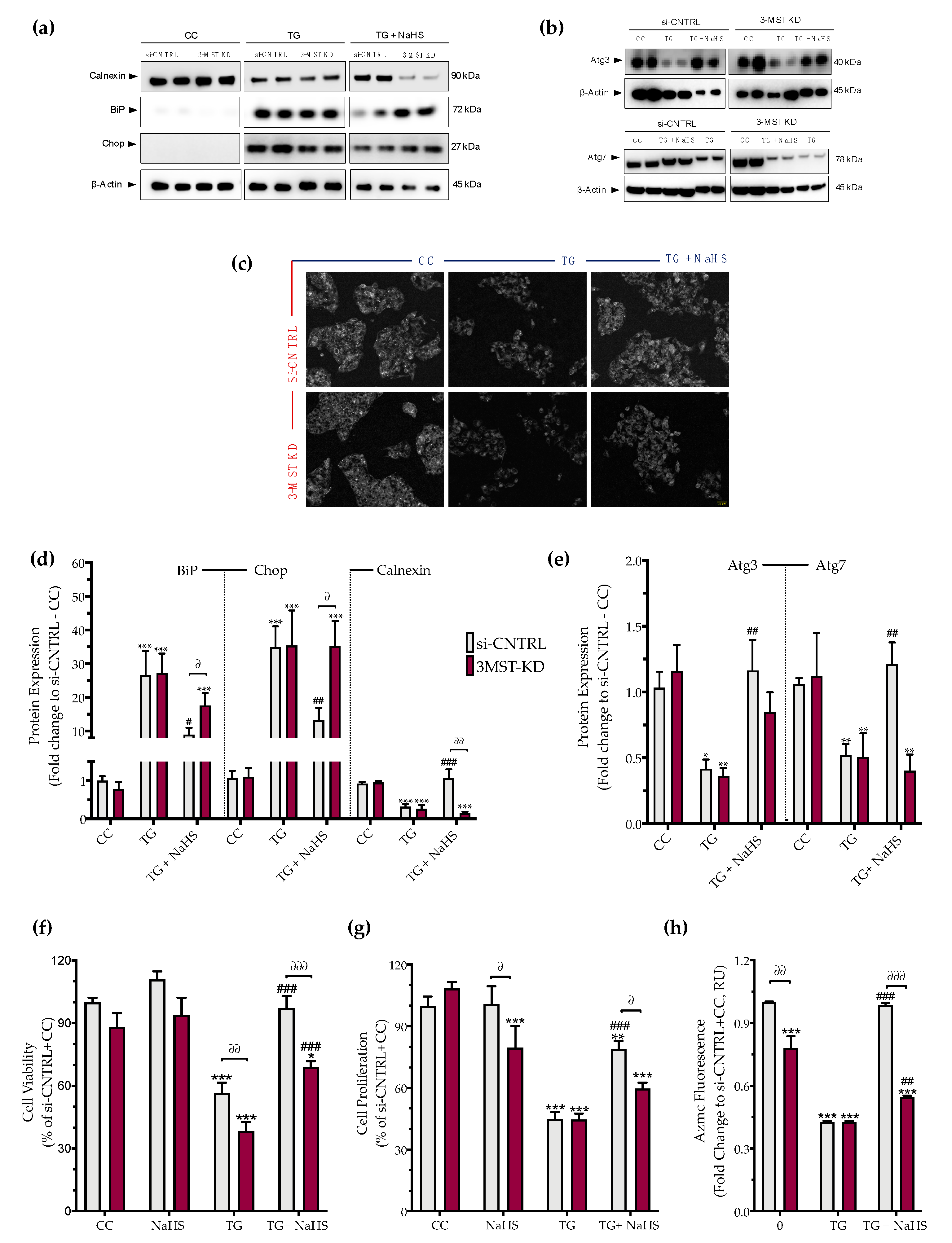 Biomolecules 10 01692 g009 Biomolecules 10 01692 g009