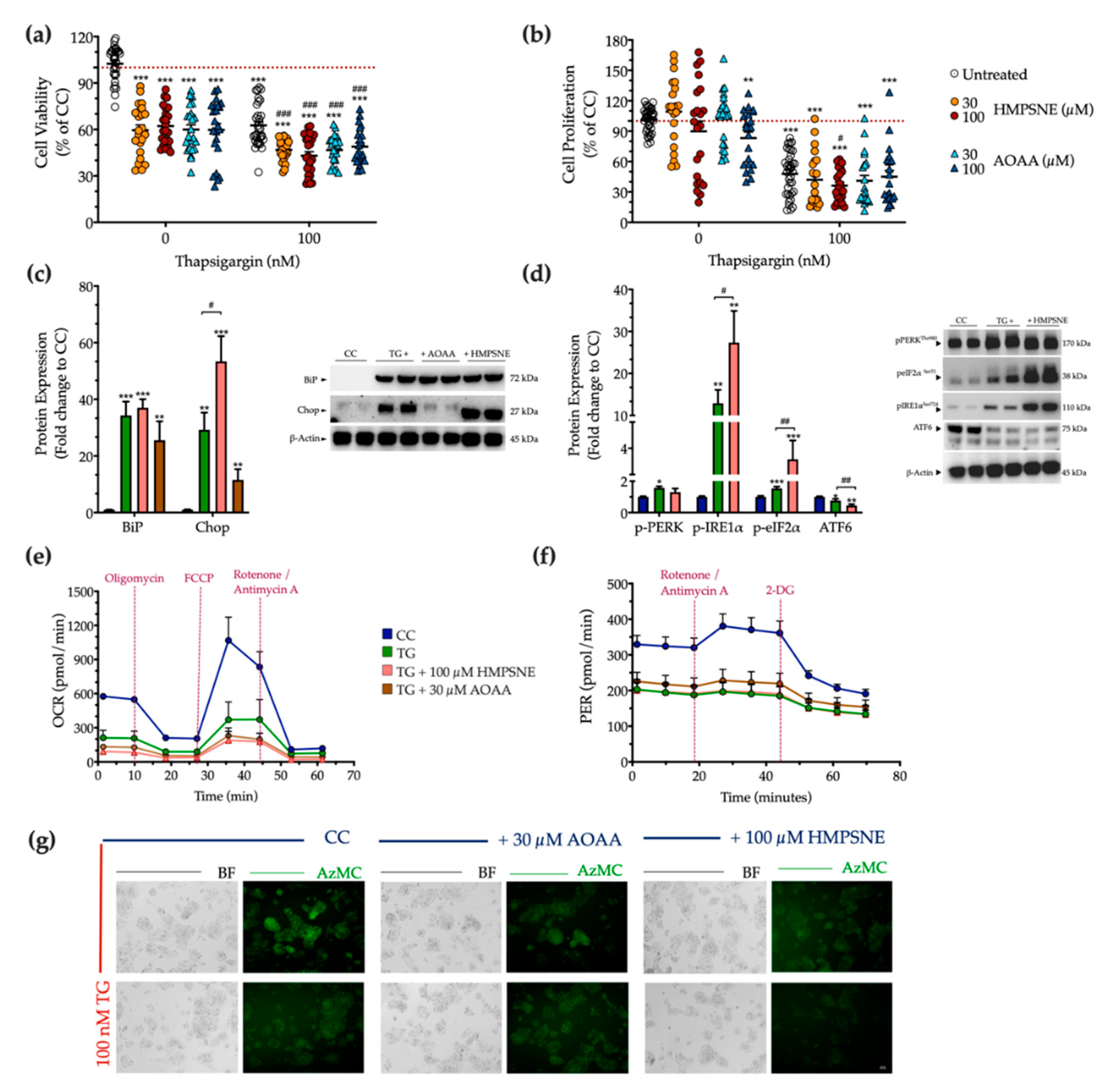 Biomolecules 10 01692 g011 Biomolecules 10 01692 g011