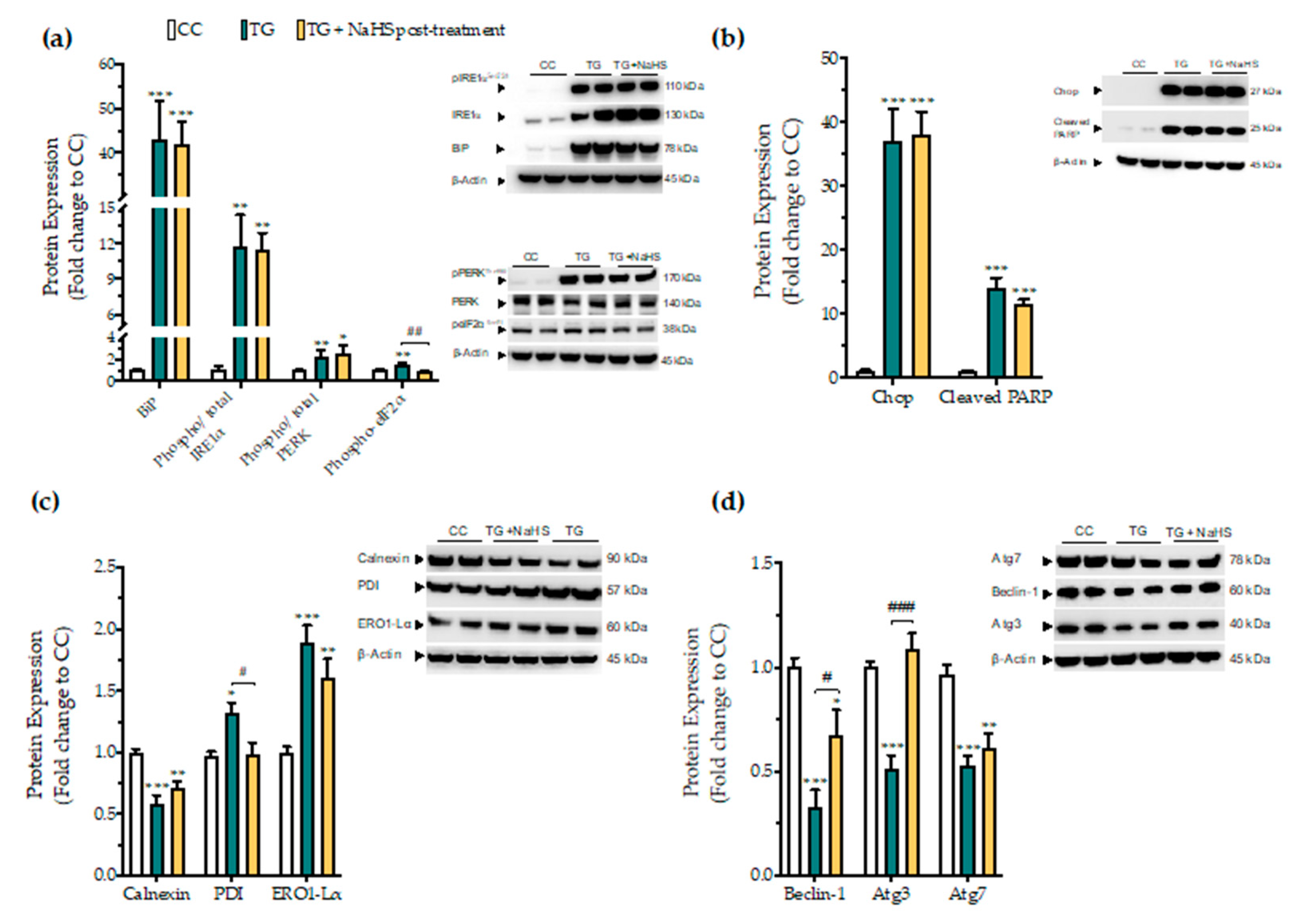 Biomolecules 10 01692 g012 Biomolecules 10 01692 g012