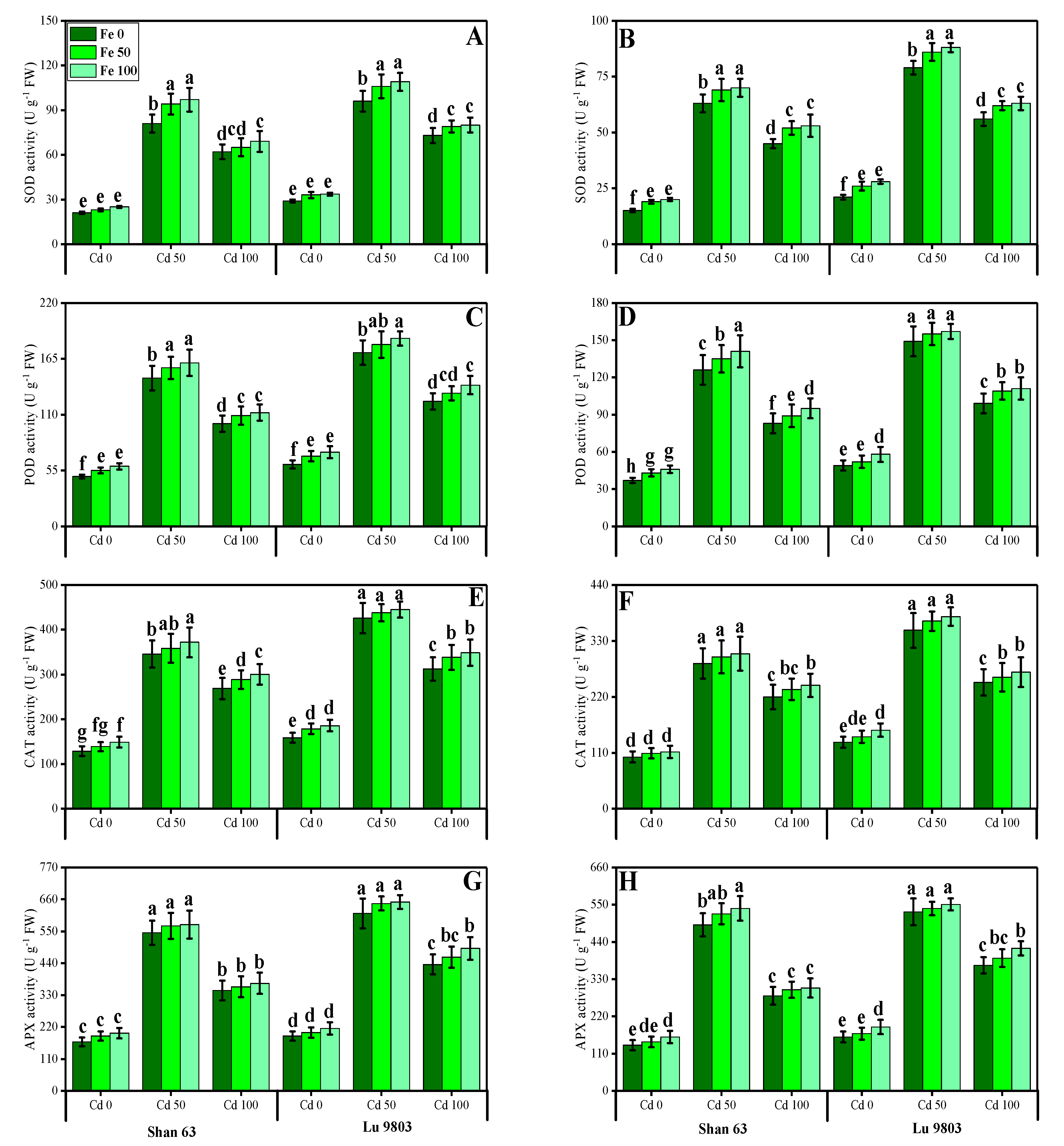 Biomolecules 10 01693 g004 Biomolecules 10 01693 g004