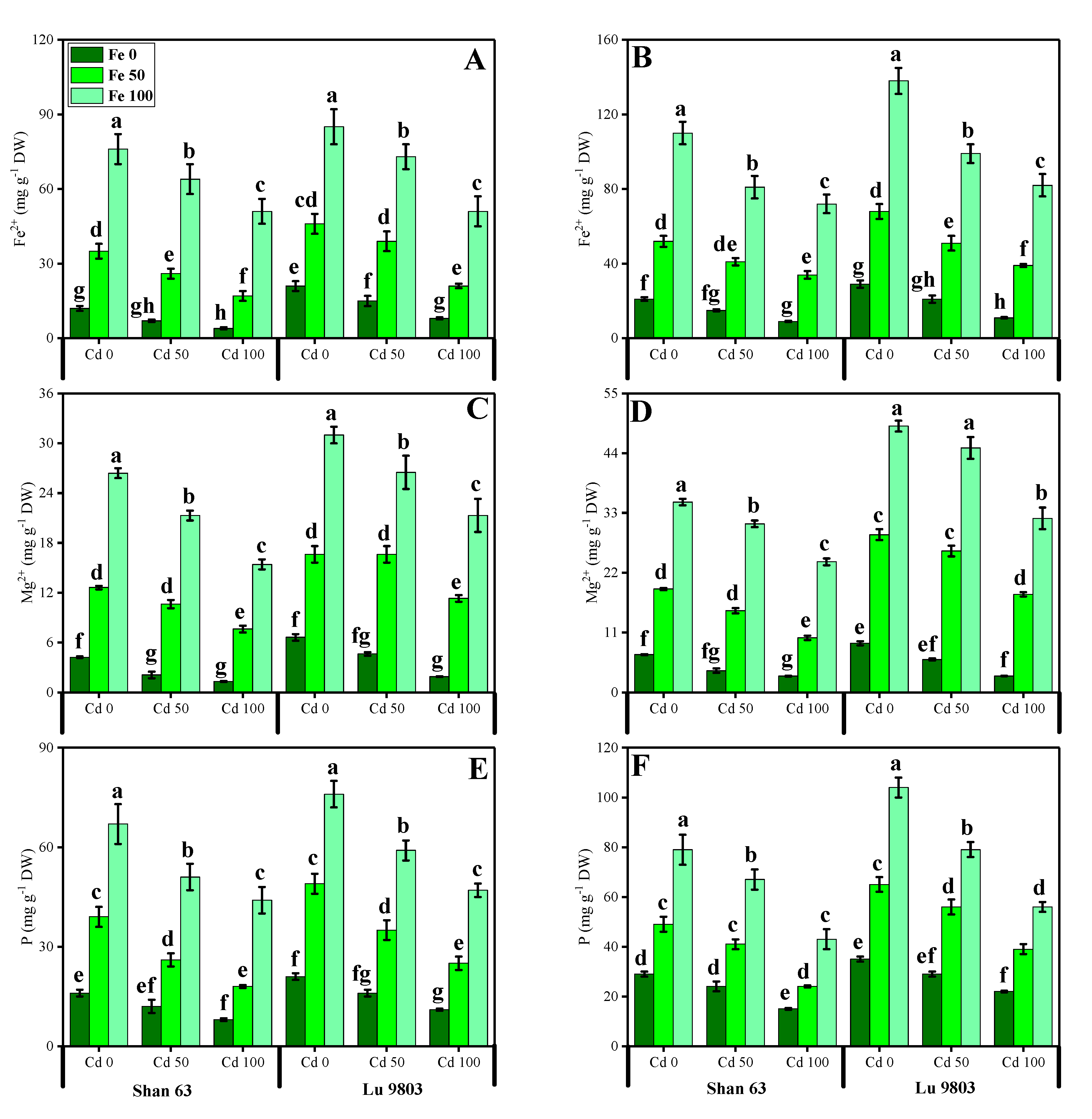 Biomolecules 10 01693 g006 Biomolecules 10 01693 g006