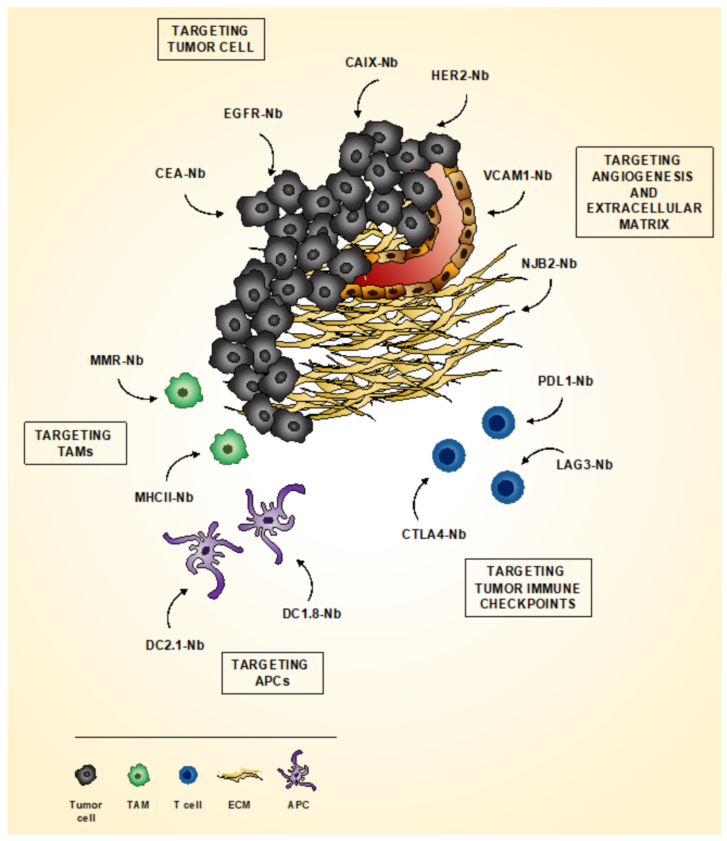 Biomolecules 10 01695 g002 Biomolecules 10 01695 g002