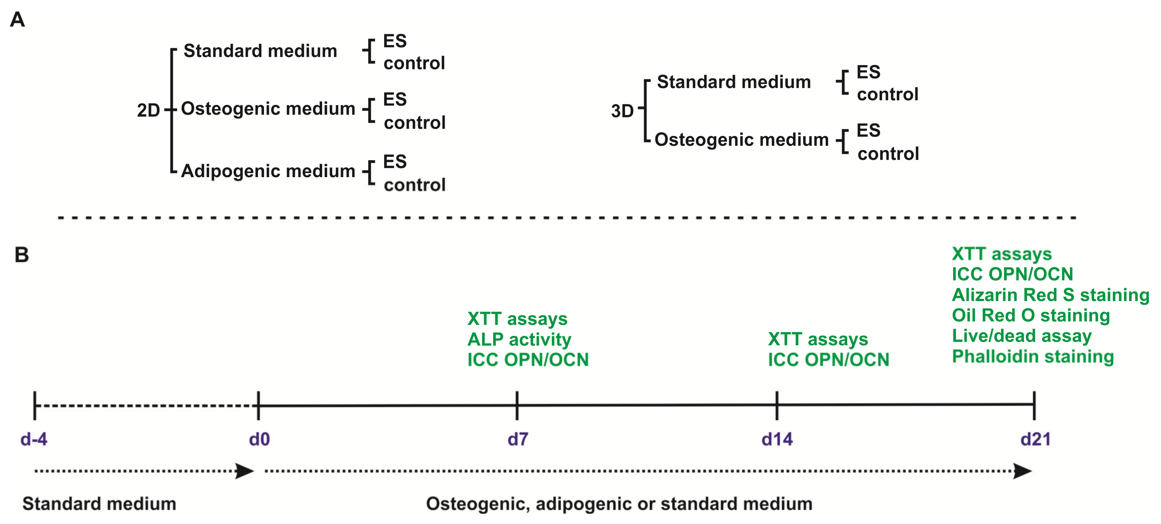 Biomolecules 10 01696 g001