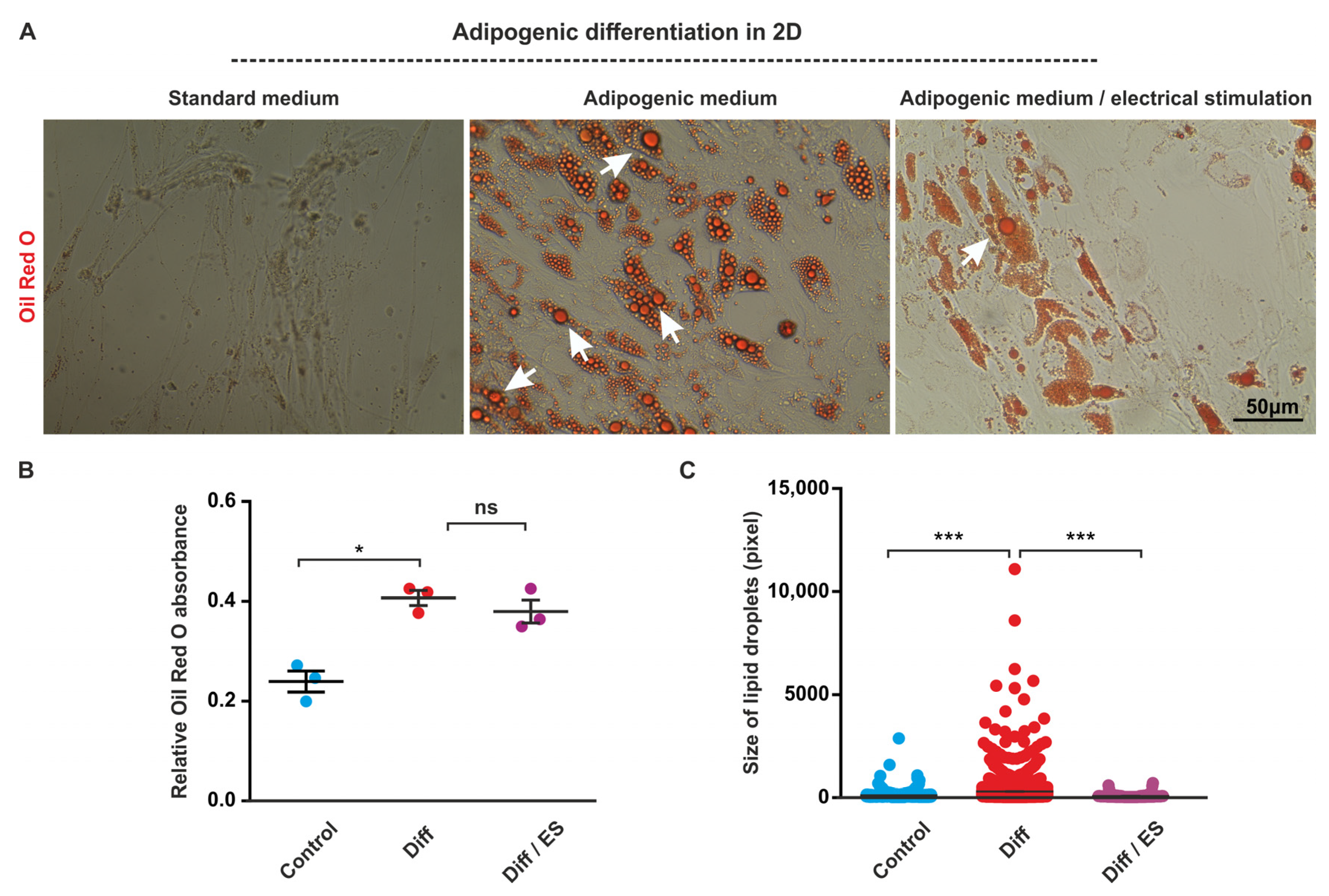 Biomolecules 10 01696 g003