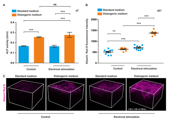 Biomolecules | December 2020 - Browse Articles