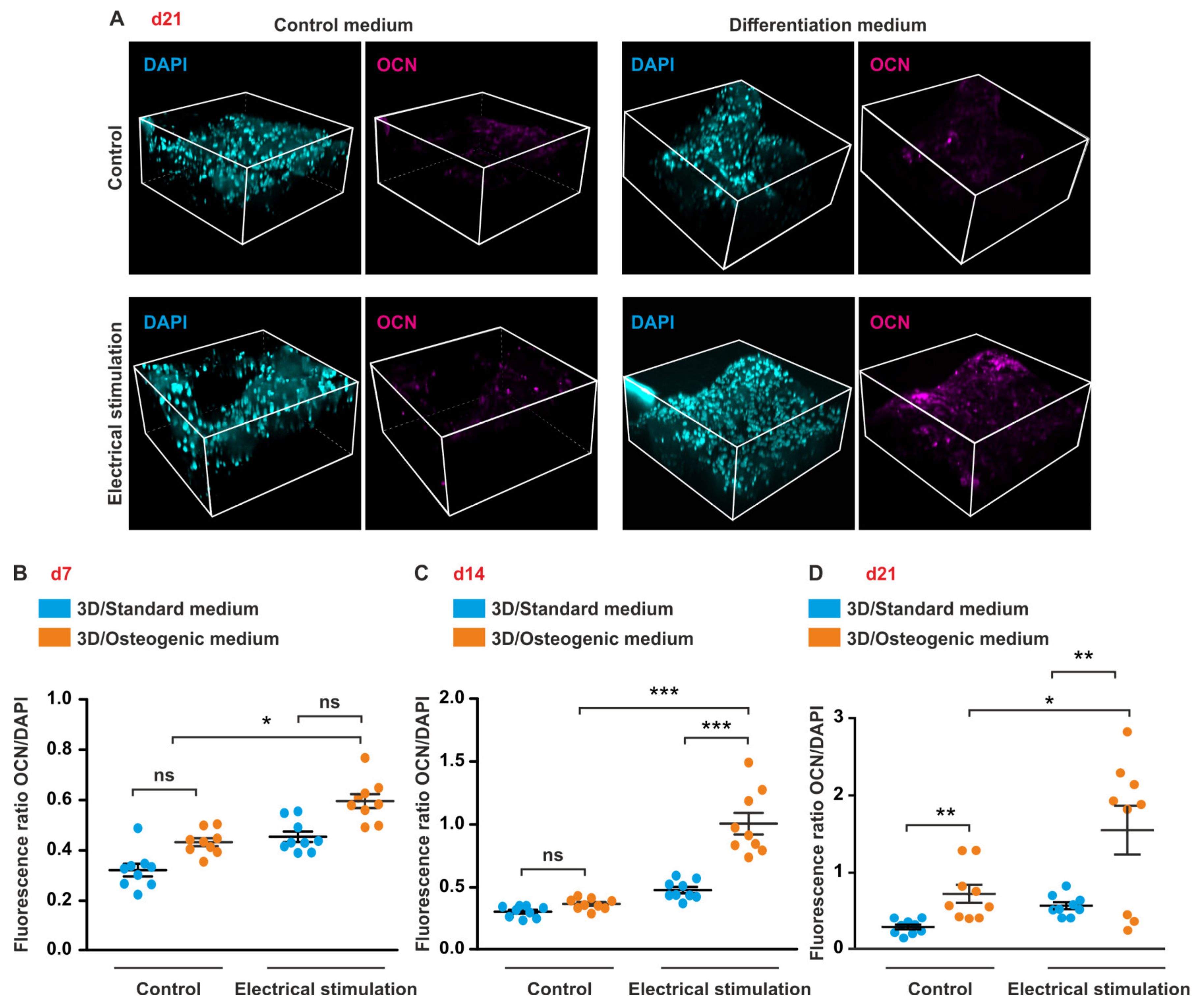 Biomolecules 10 01696 g006