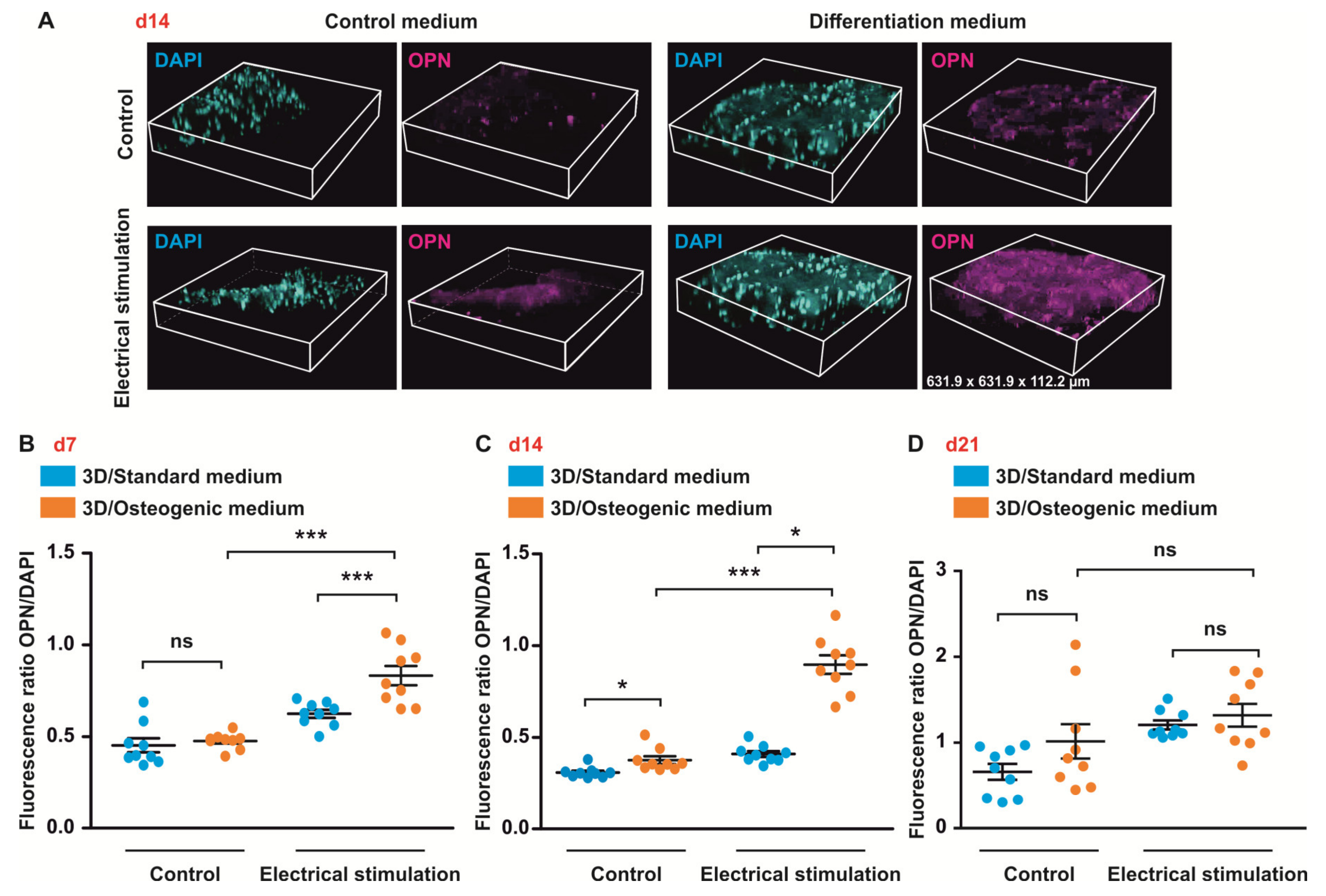 Biomolecules 10 01696 g007