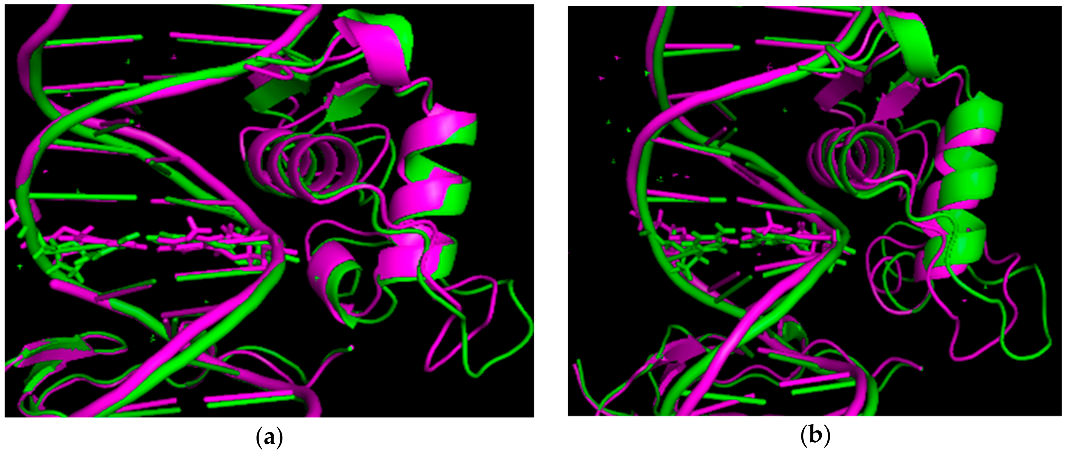 Biomolecules 10 01700 g001a