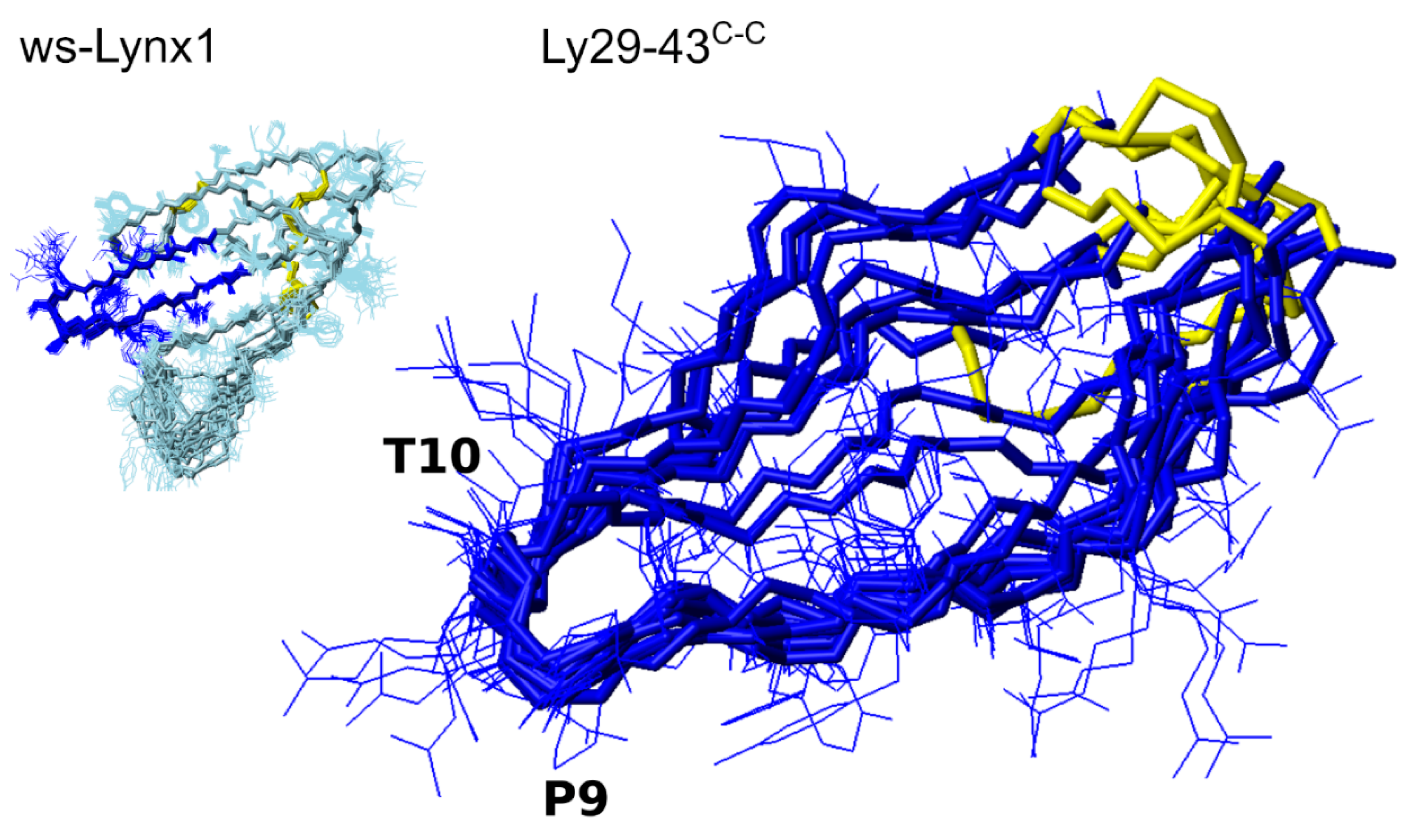 Biomolecules 11 00001 g007