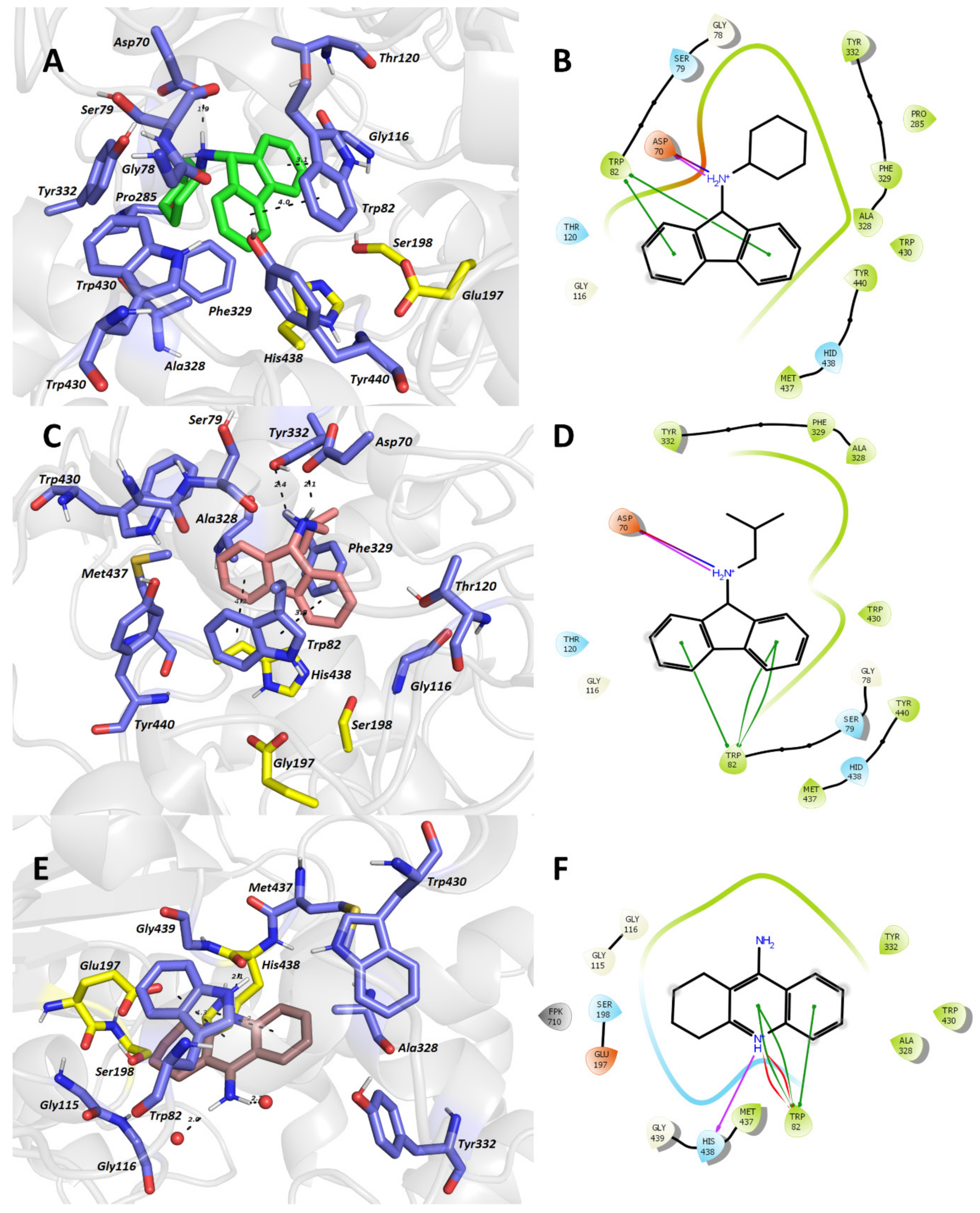 Biomolecules 11 00003 g007 Biomolecules 11 00003 g007