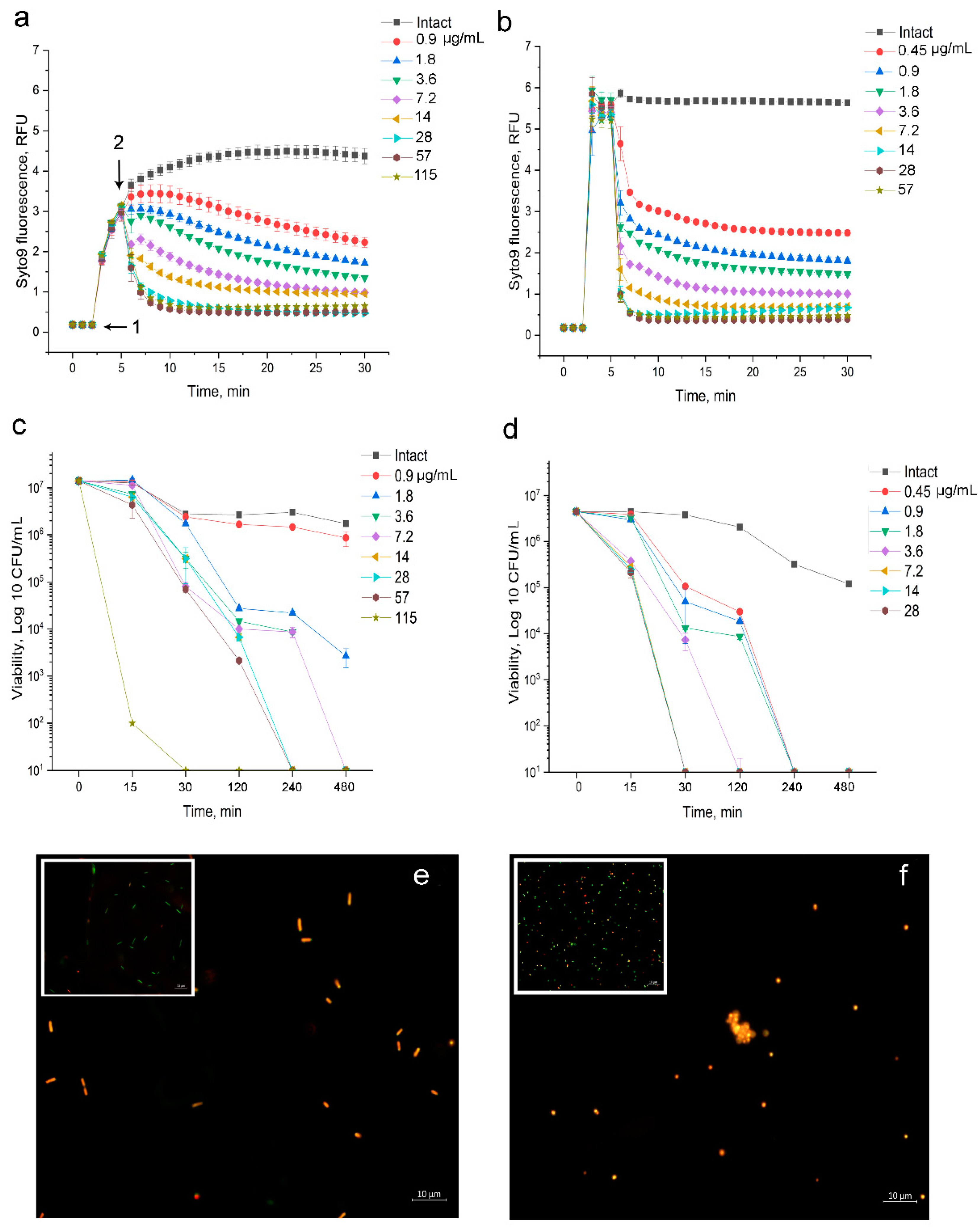 Biomolecules 11 00013 g002 Biomolecules 11 00013 g002