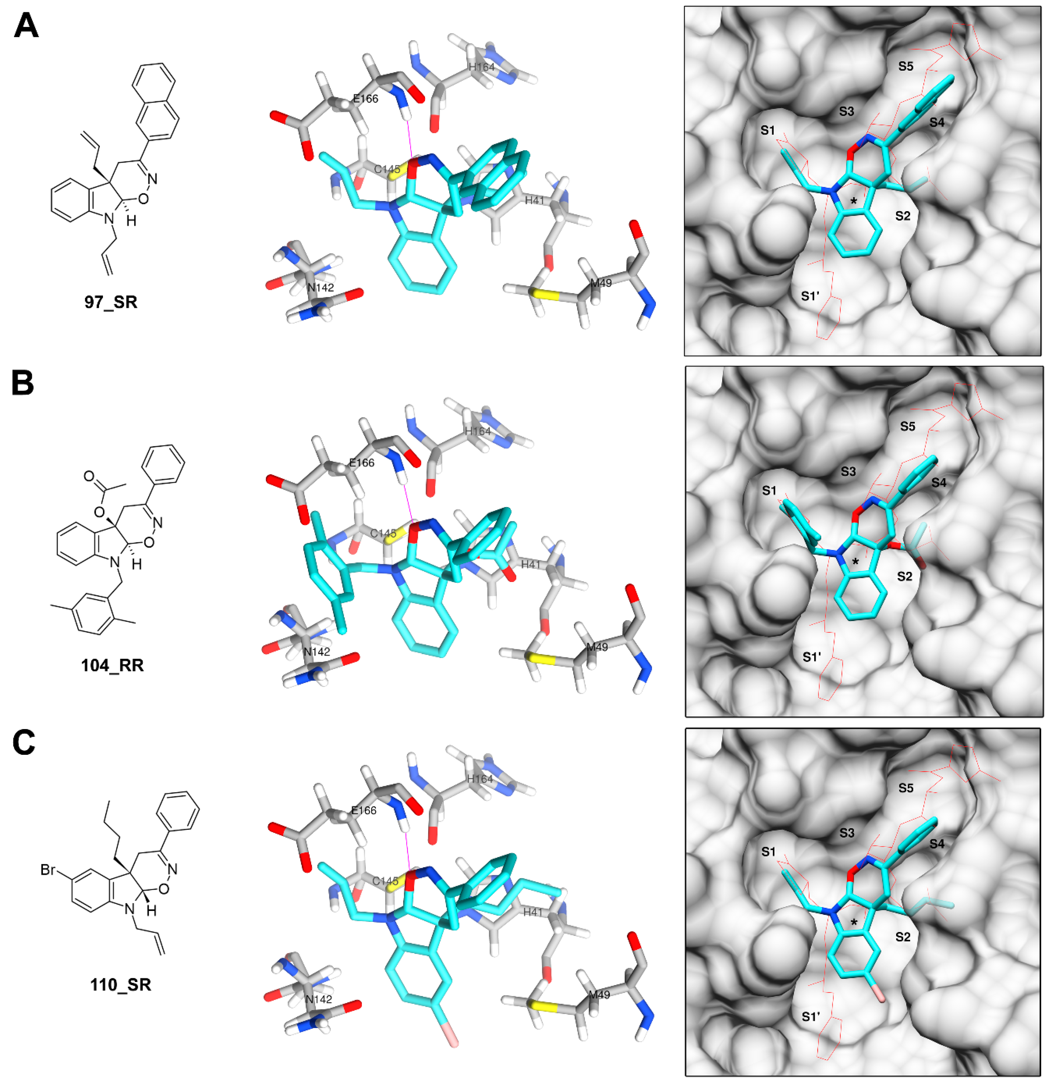 Biomolecules 11 00018 g007 Biomolecules 11 00018 g007