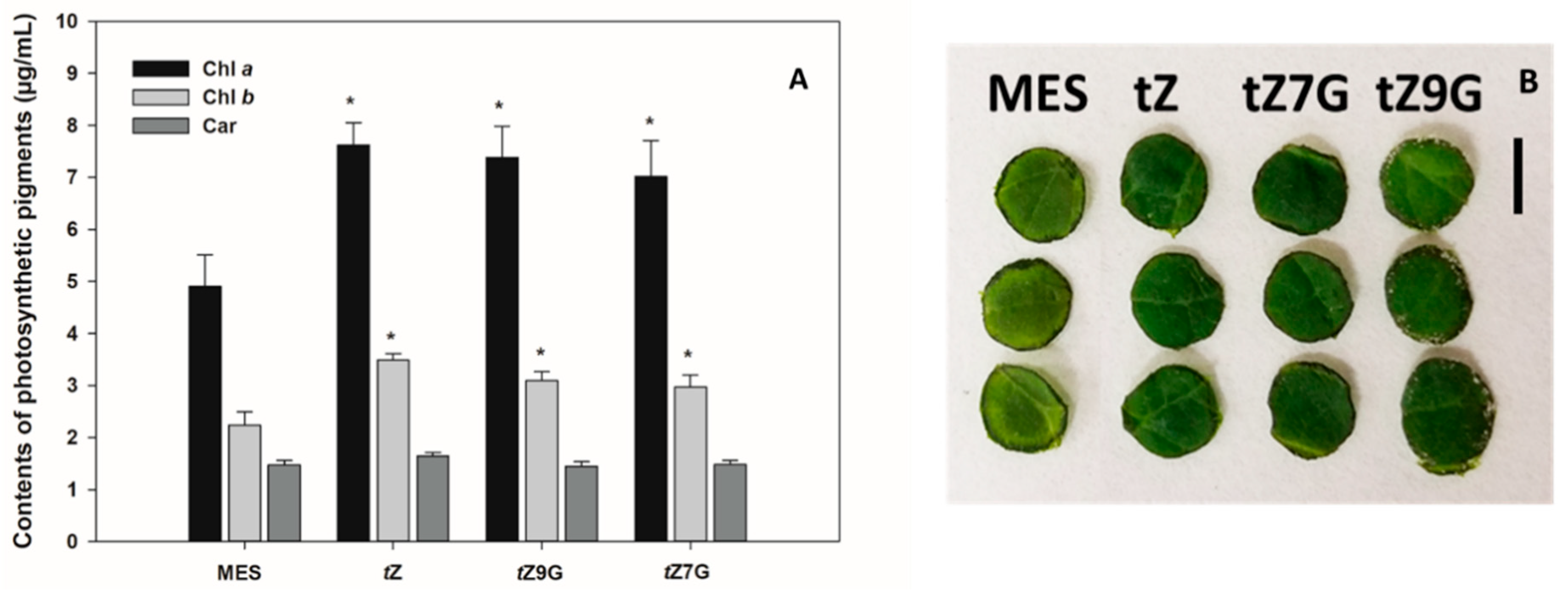 Biomolecules 11 00024 g004
