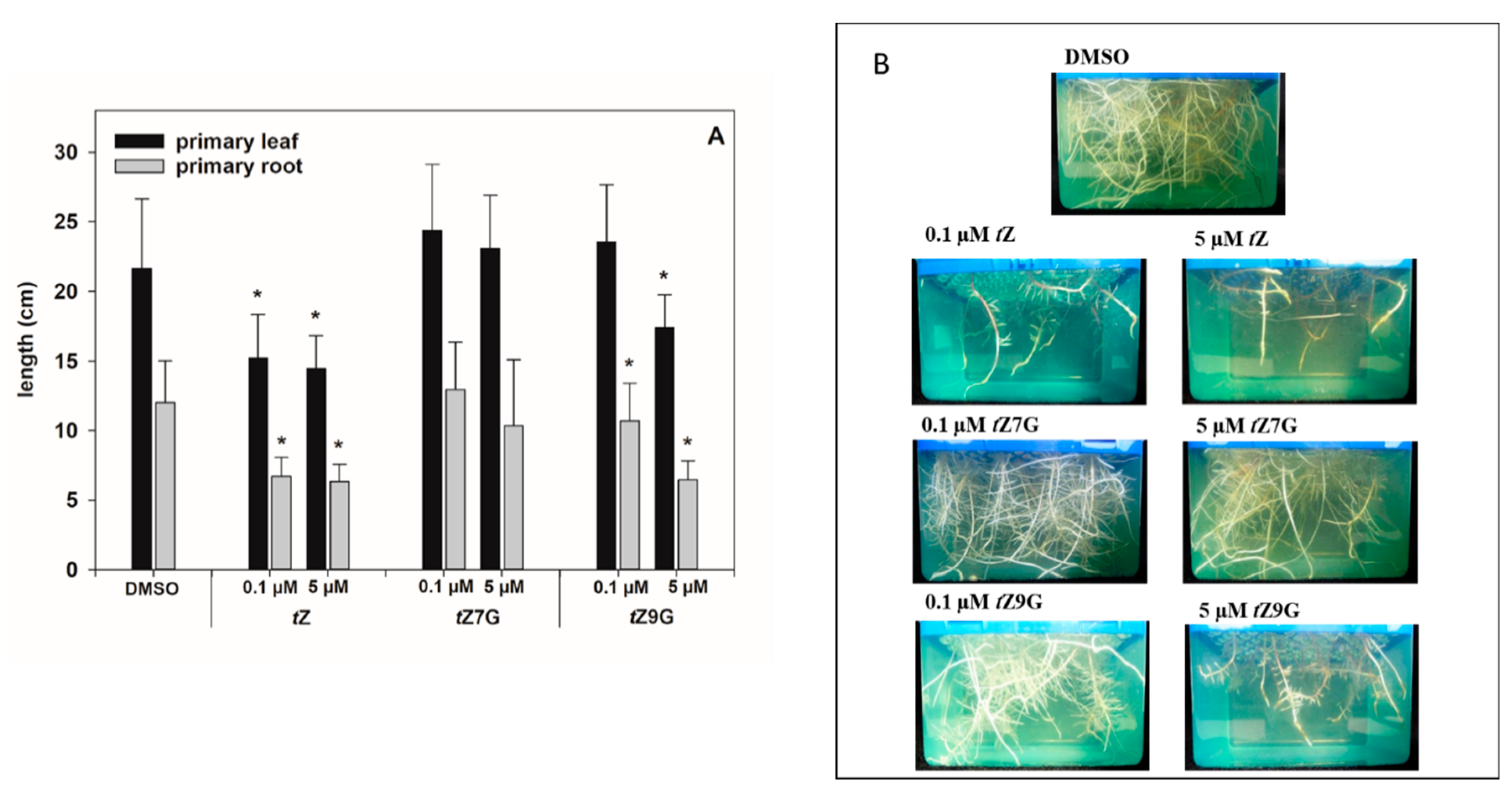 Biomolecules 11 00024 g007