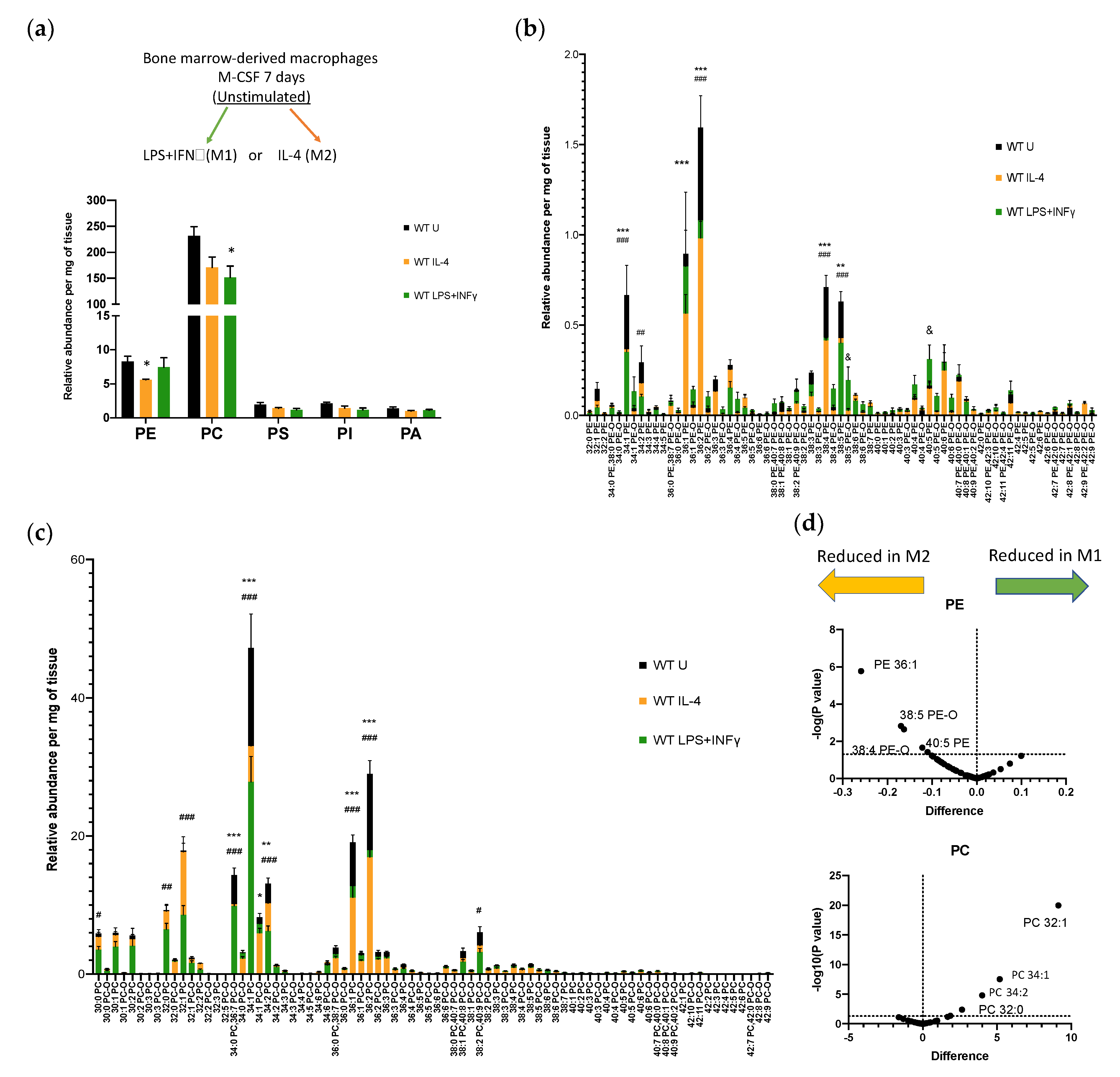 Biomolecules 11 00025 g001