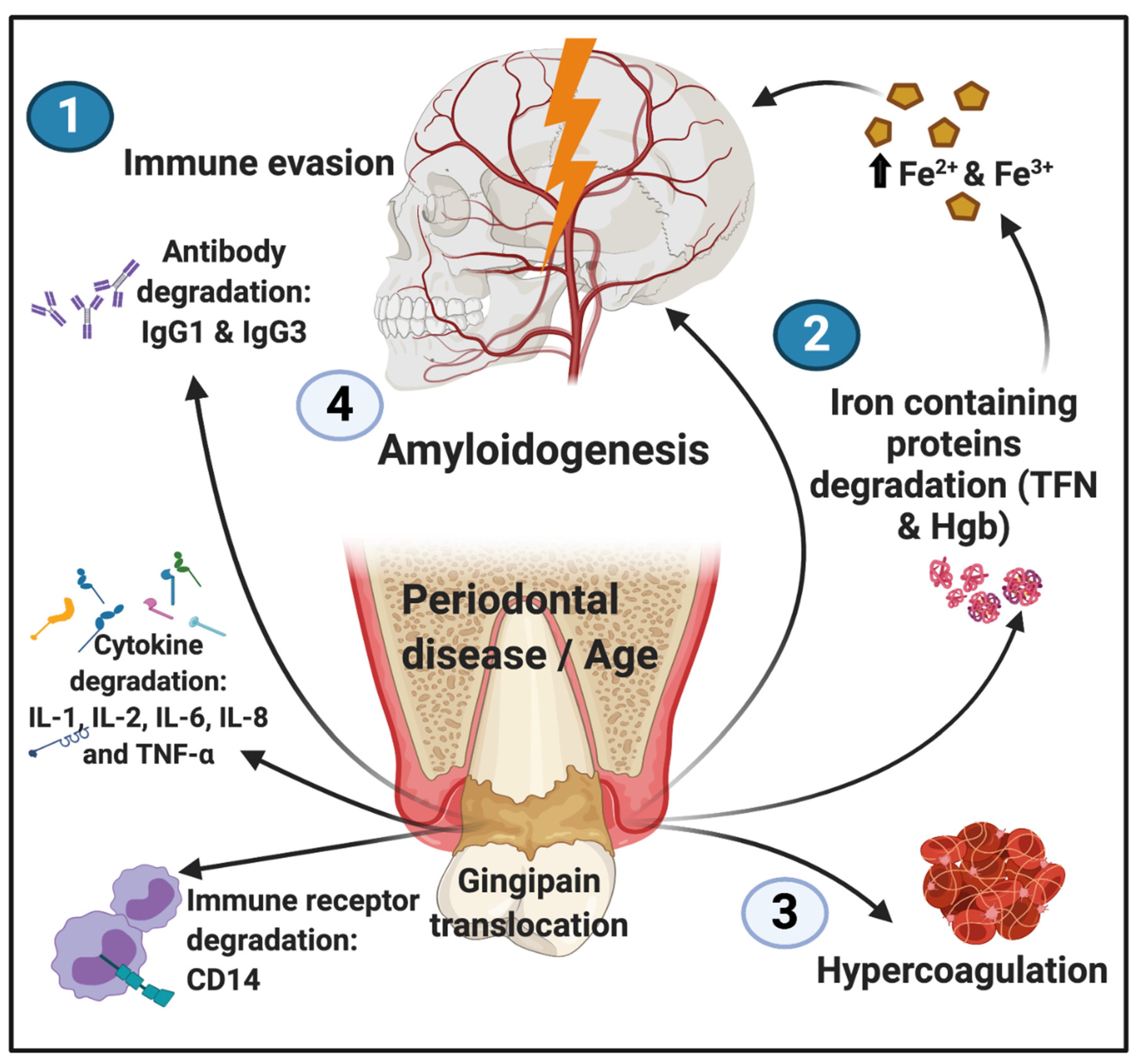 Biomolecules 11 00030 g005 Biomolecules 11 00030 g005
