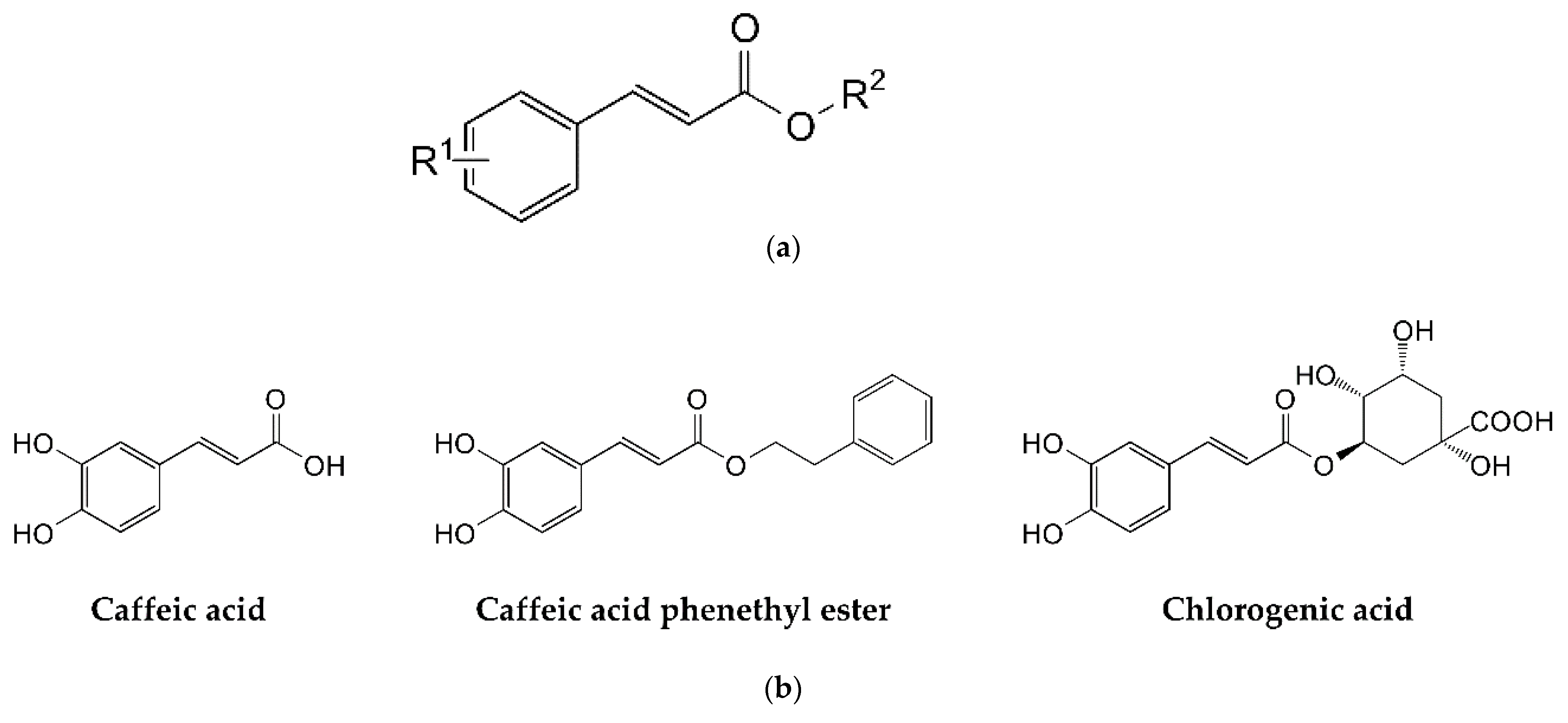 Biomolecules 11 00031 g001