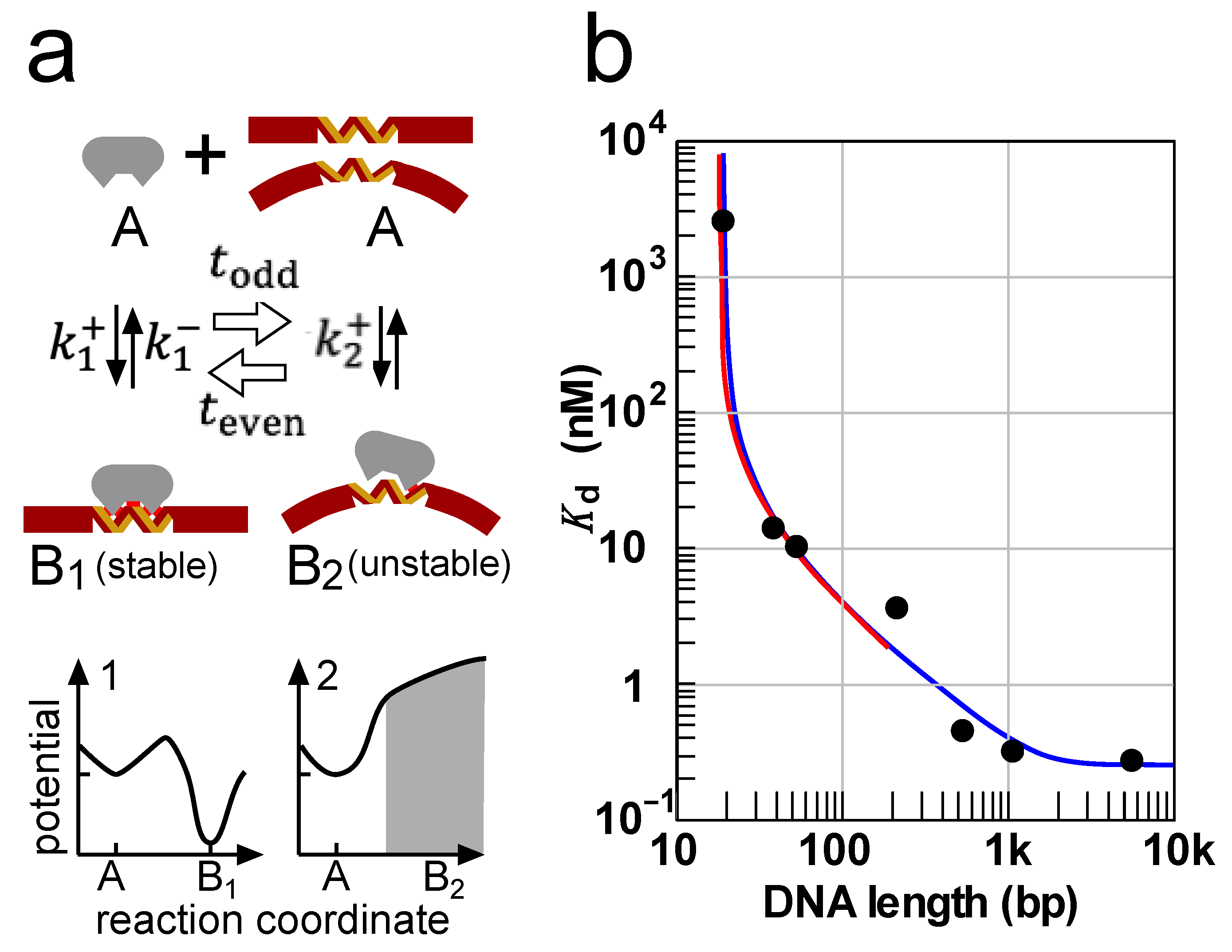 Biomolecules 11 00032 g004