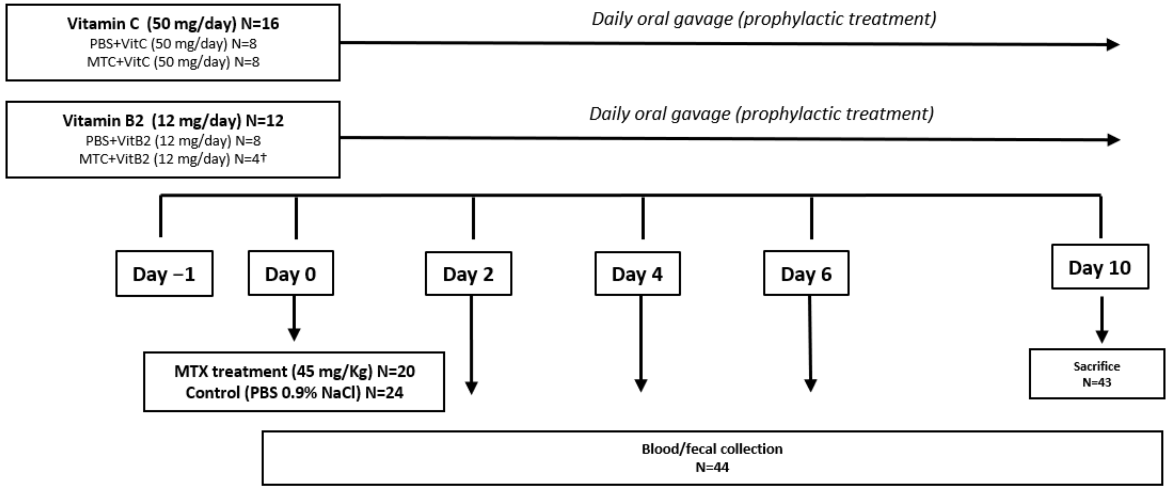 Biomolecules 11 00034 g001