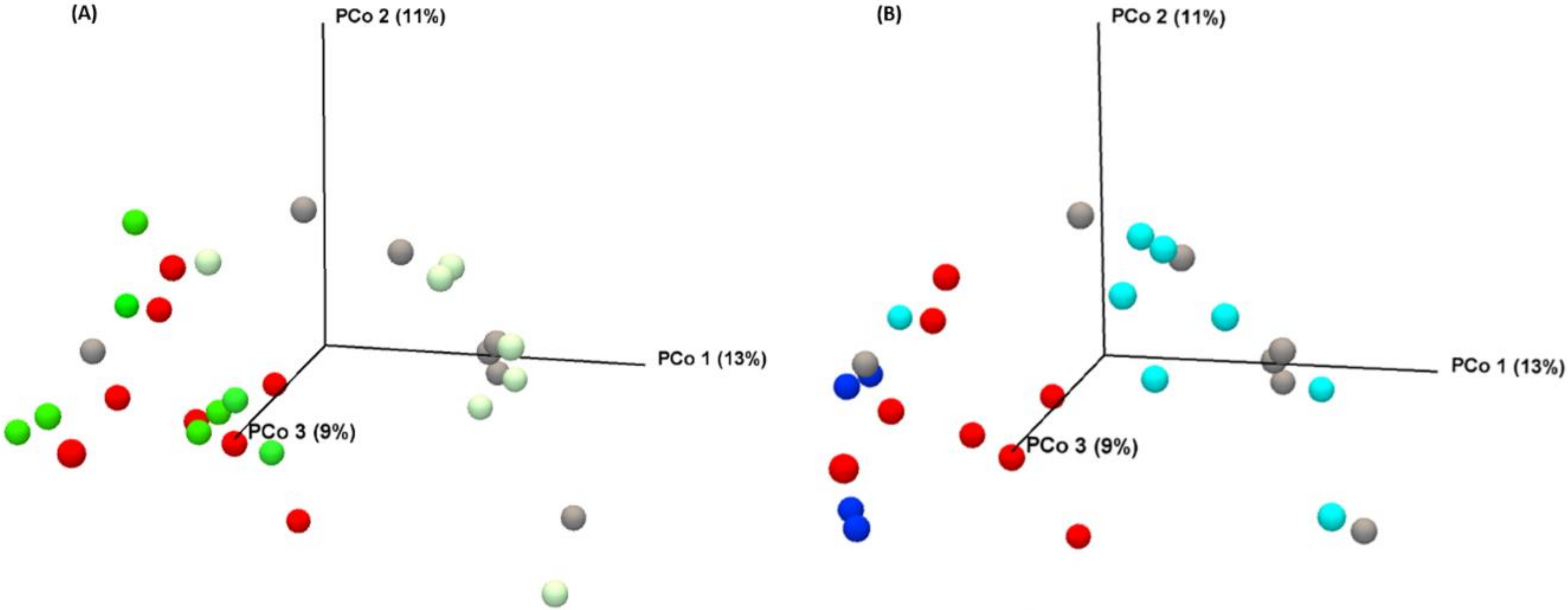 Biomolecules 11 00034 g006