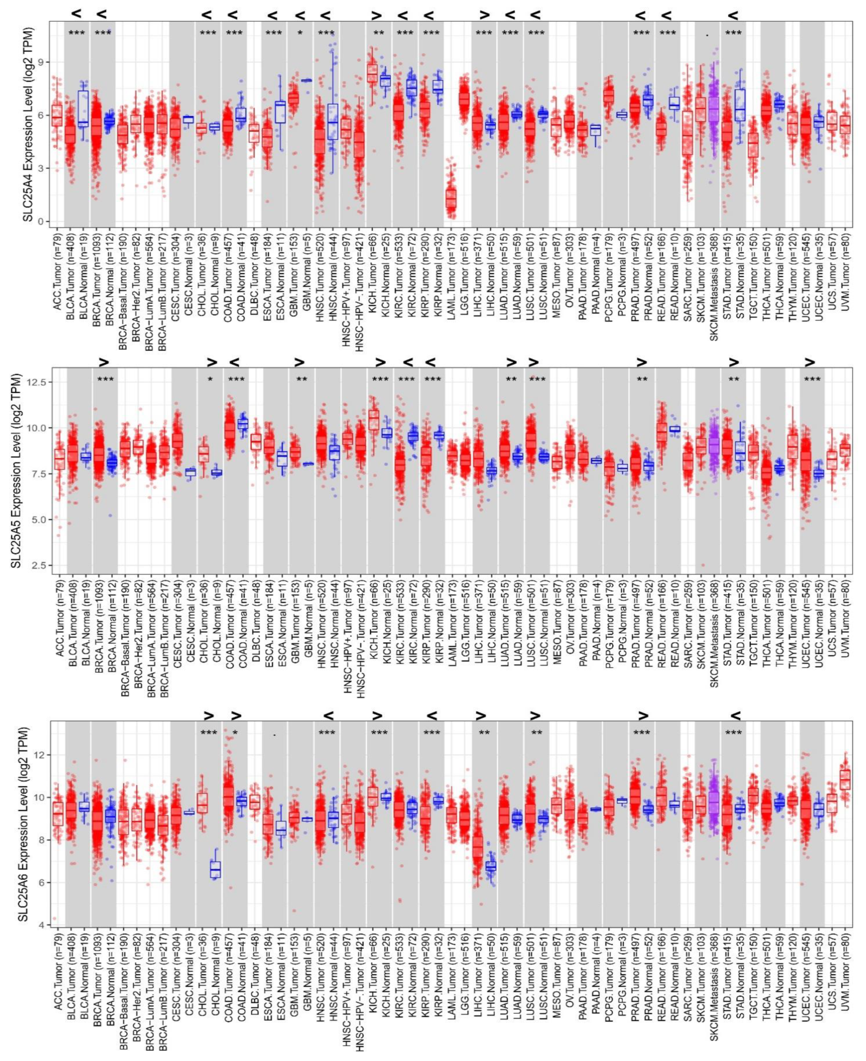 Biomolecules 11 00038 g001 Biomolecules 11 00038 g001