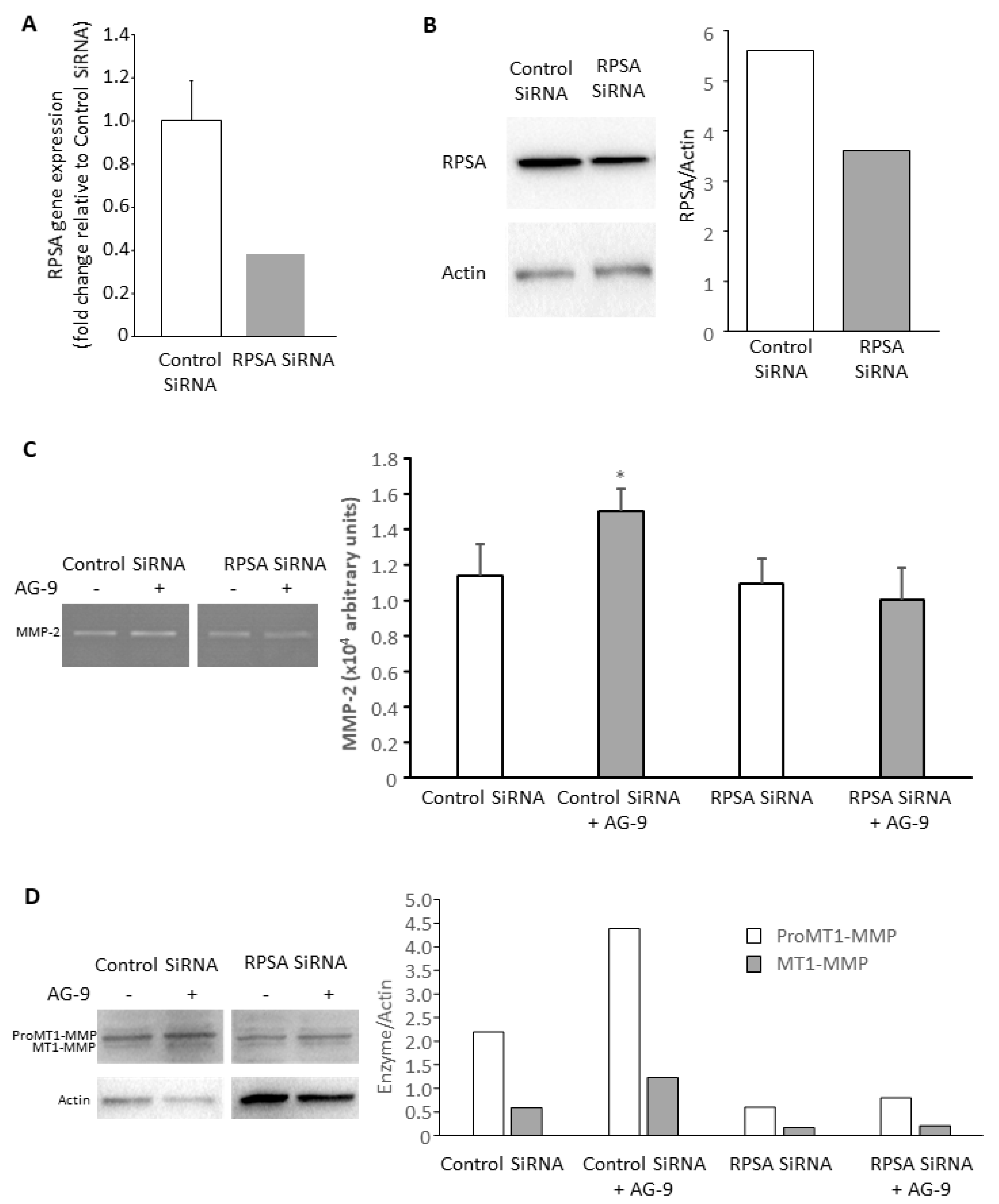 Biomolecules 11 00039 g003 Biomolecules 11 00039 g003