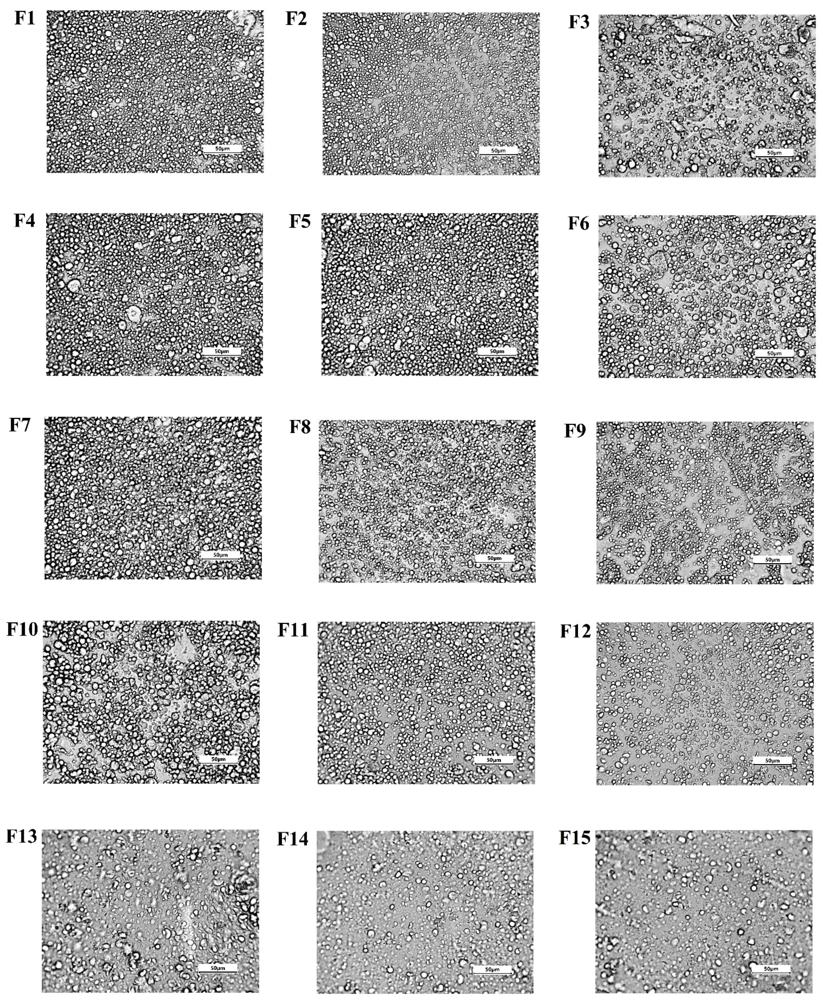 Biomolecules 11 00049 g006 Biomolecules 11 00049 g006