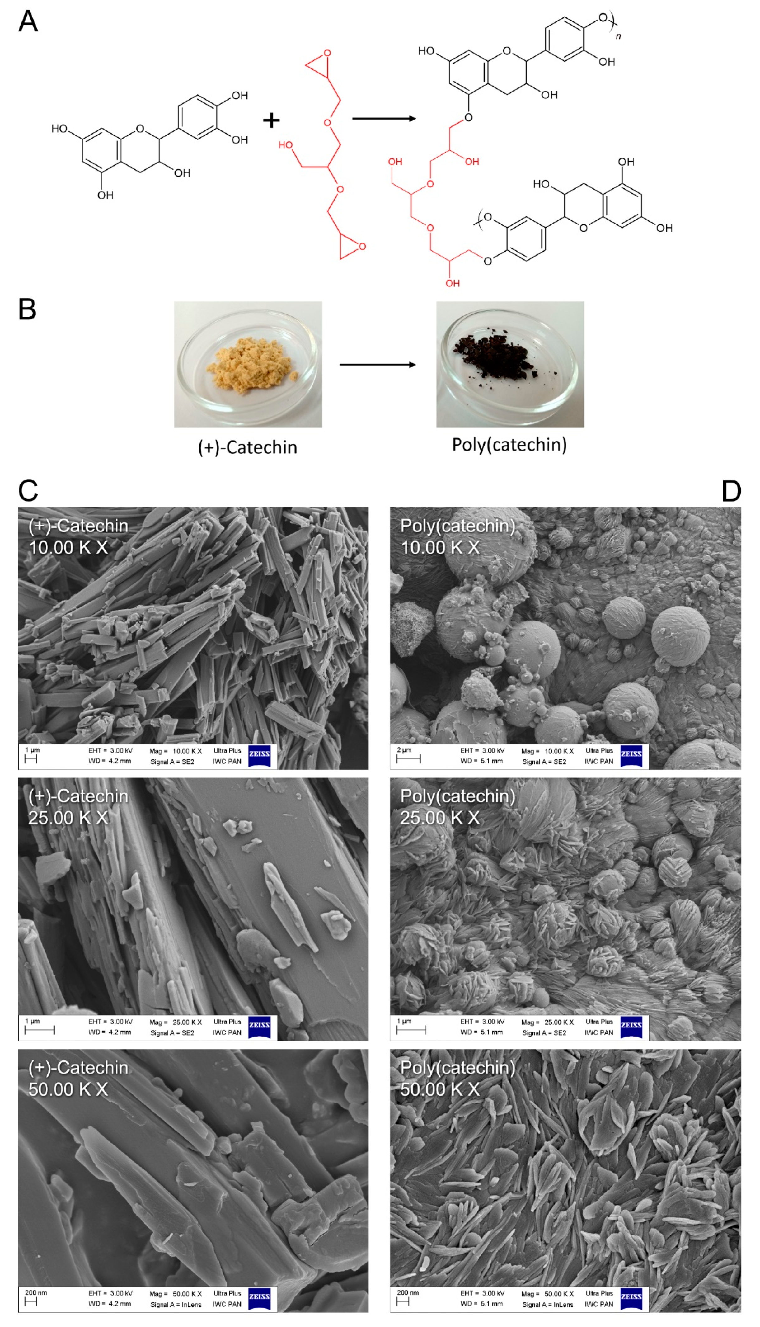 Biomolecules 11 00050 g001